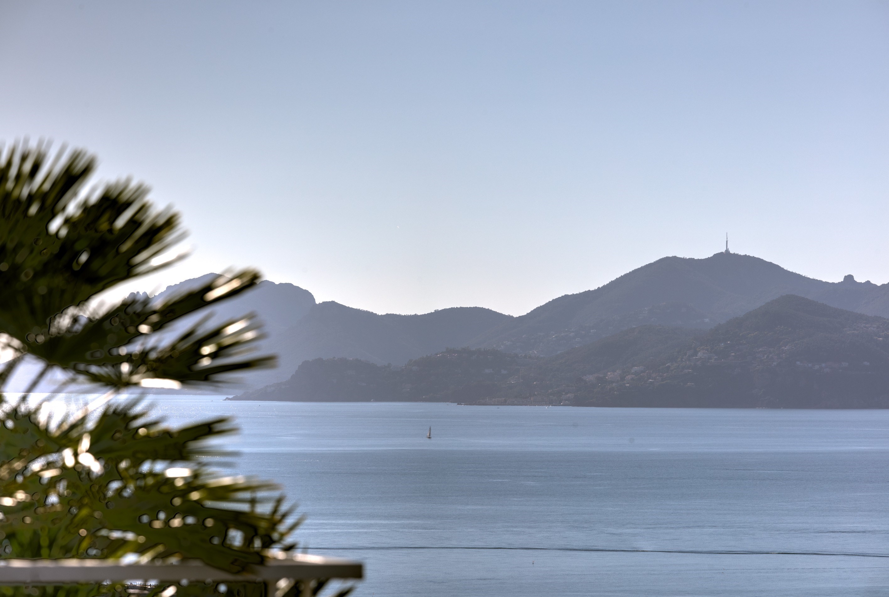  Cannes 4 bedroomed apartment, luxury amenities, panoramic sea view, exceptional… - 物件實景