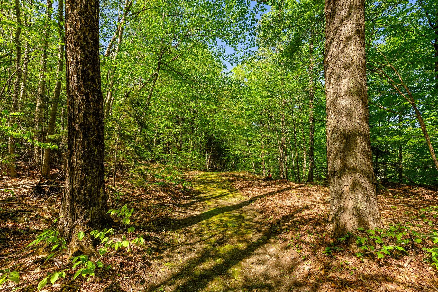  Sutton, Eastern Townships - 物件實景