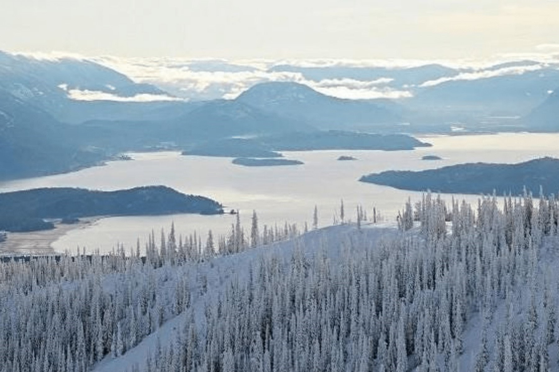  28 The Glades - Schweitzer - 物件實景