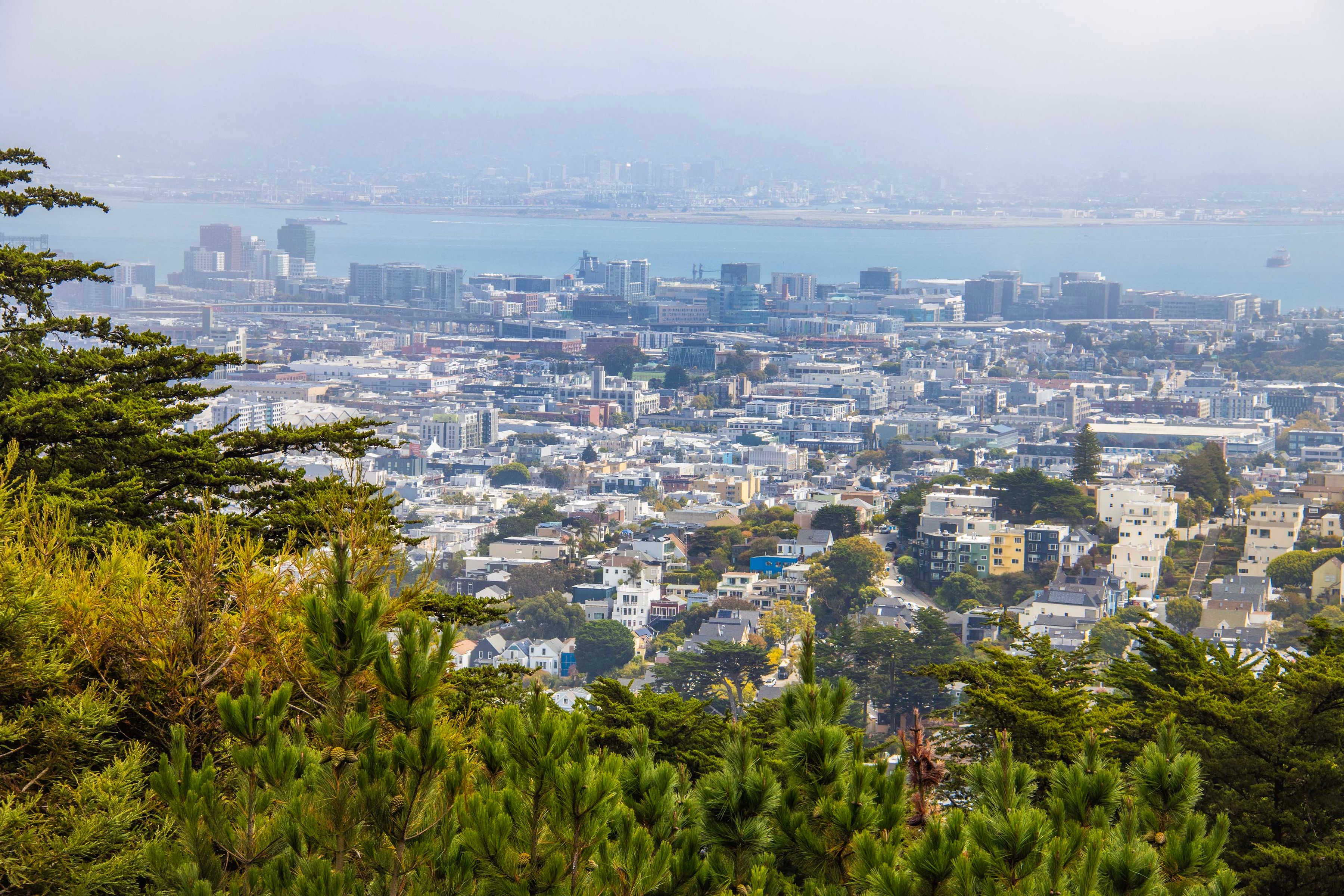  View condo - 物件實景