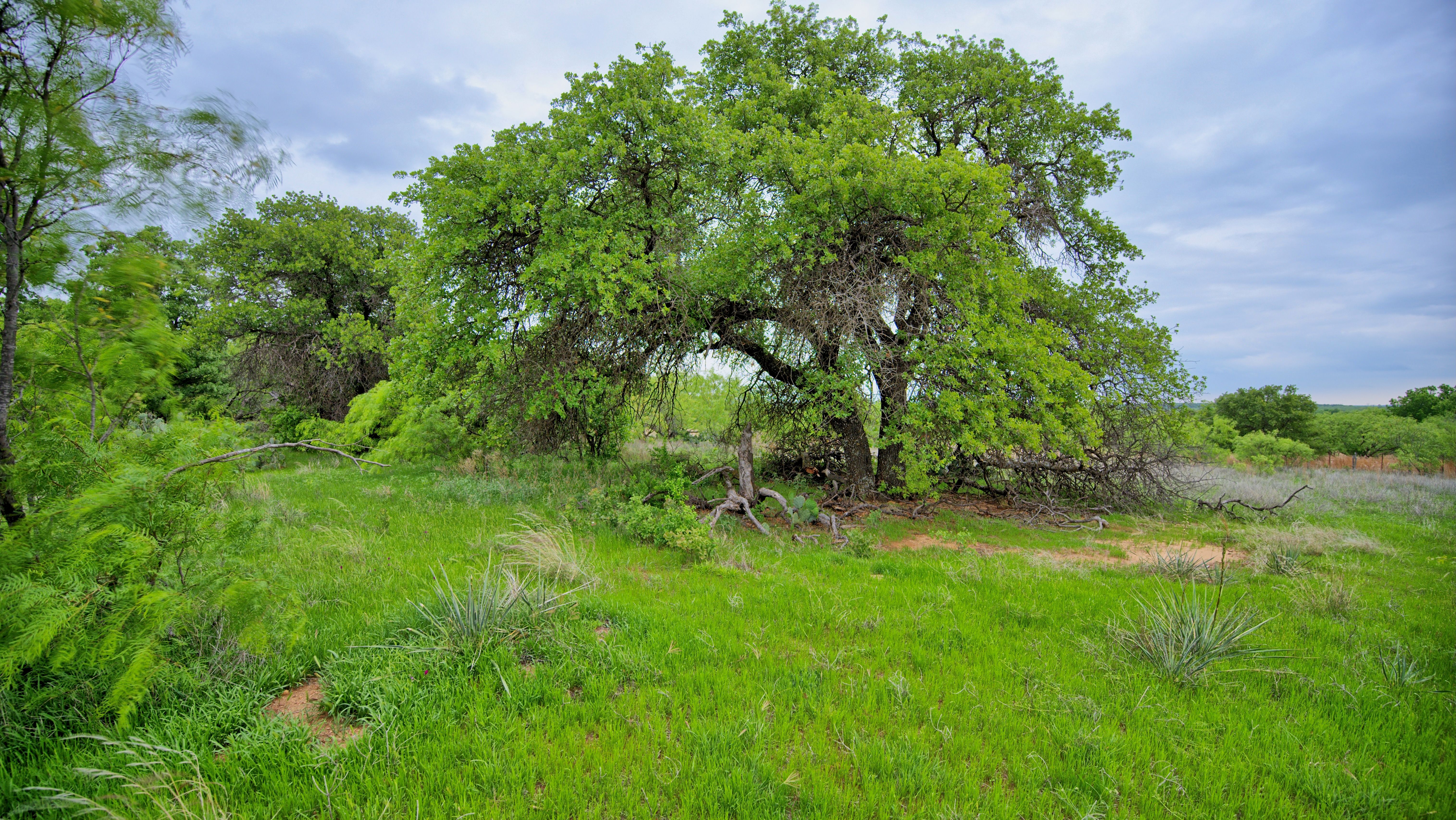  3377 Lodge Creek Road - 物件實景