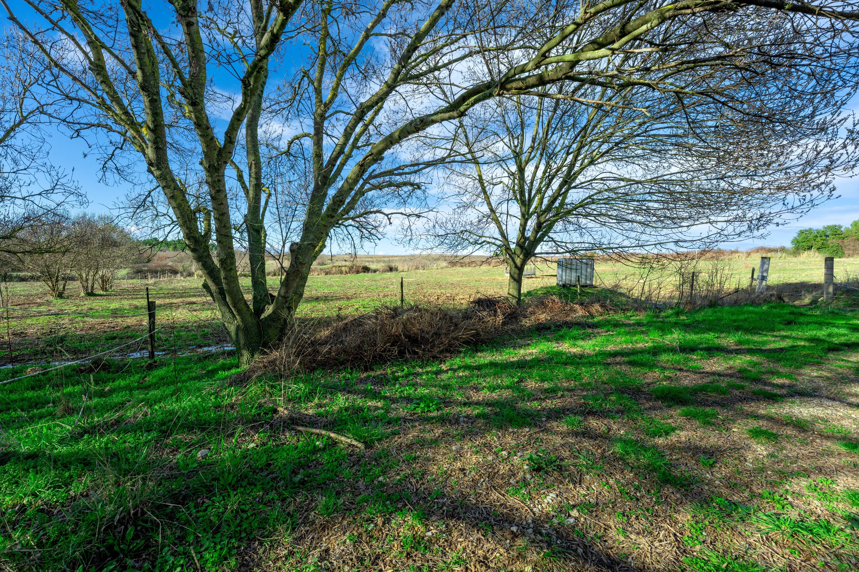  Equestrian excellence in a preserved natural setting - 物件實景