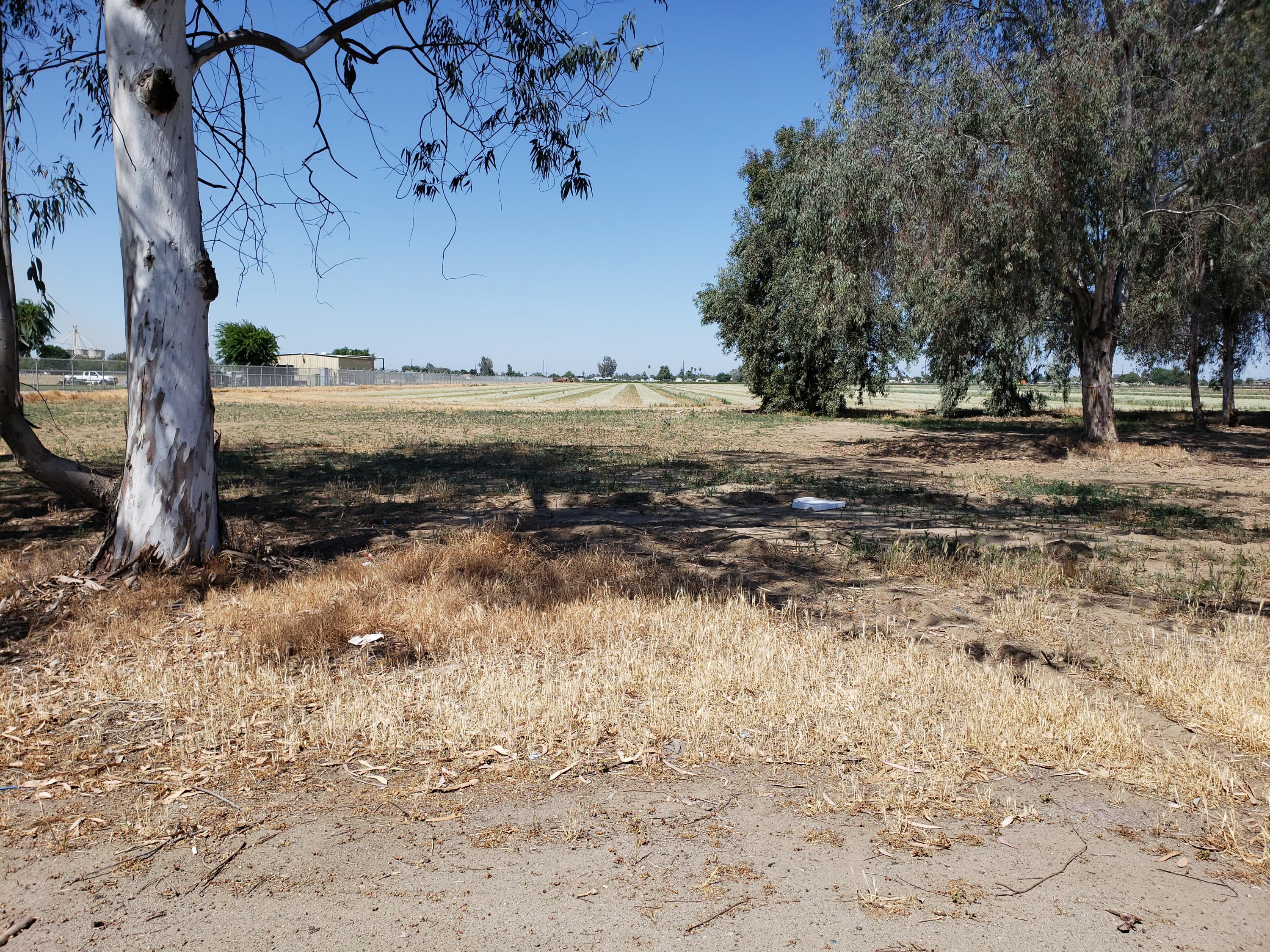 11544 S 10th Avenue, Hanford, California, 93230, United States, 10 Bedrooms Bedrooms, ,Residential,For Sale,11544 S 10th Avenue,1178126