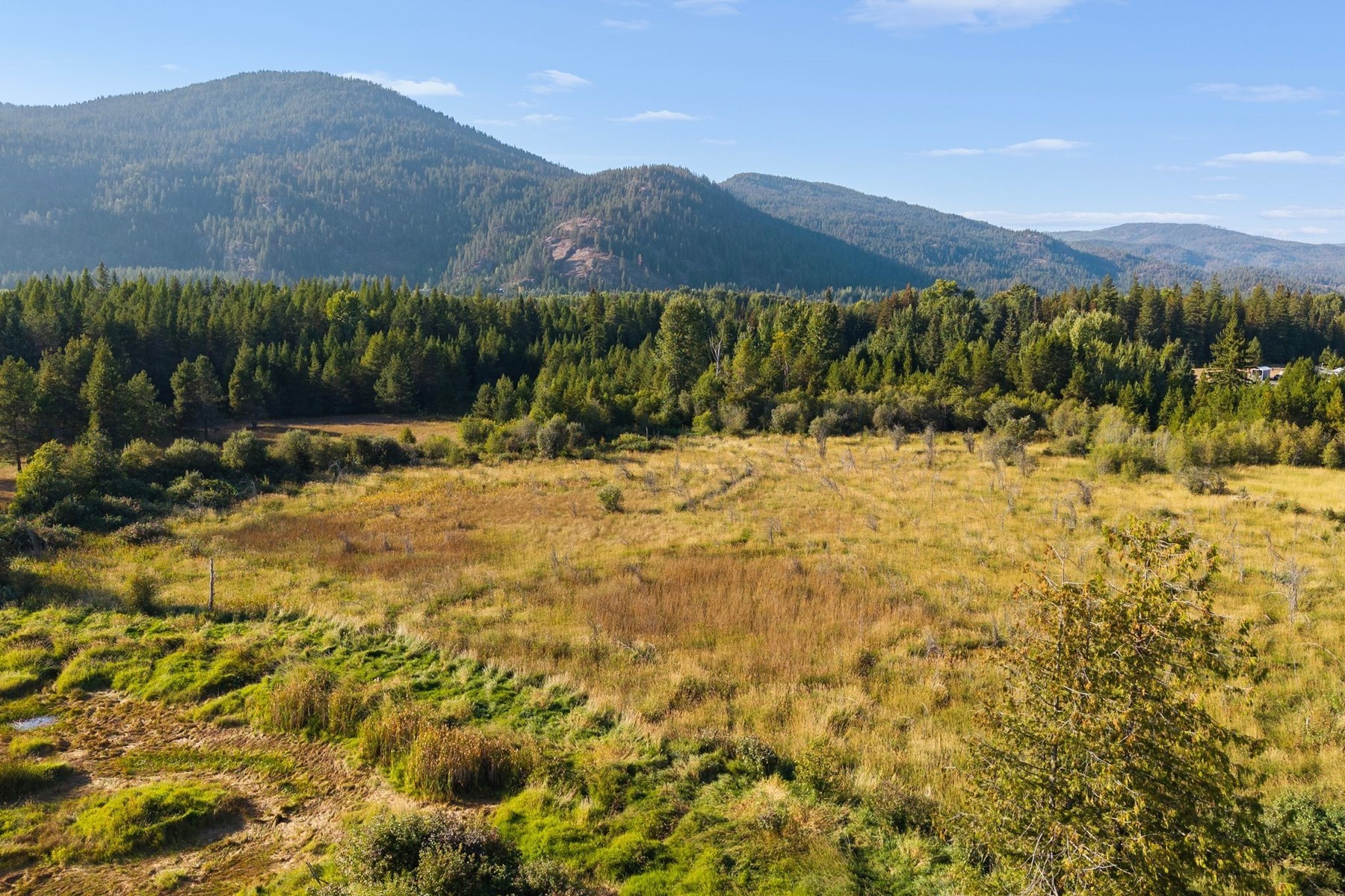  The Old Spur Homestead - 物件實景