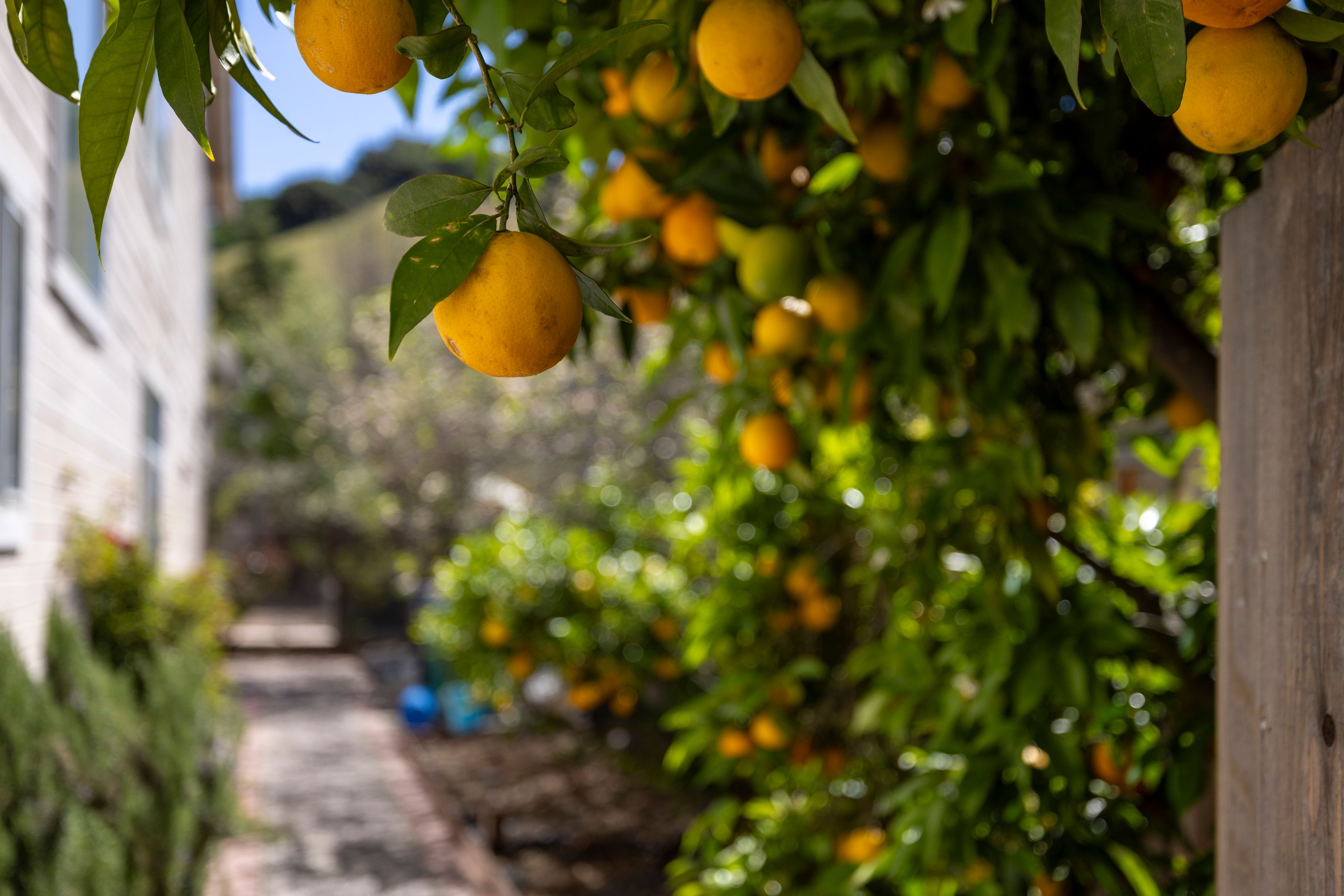  17554 Sugarmill Road - 物件實景