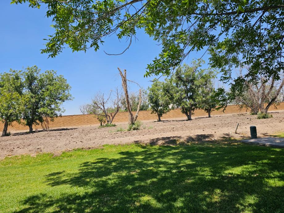 Torreón, Coahuila de Zaragoza, 27105, Mexico, 1 Bedroom Bedrooms, ,Residential,For Sale,1820197
