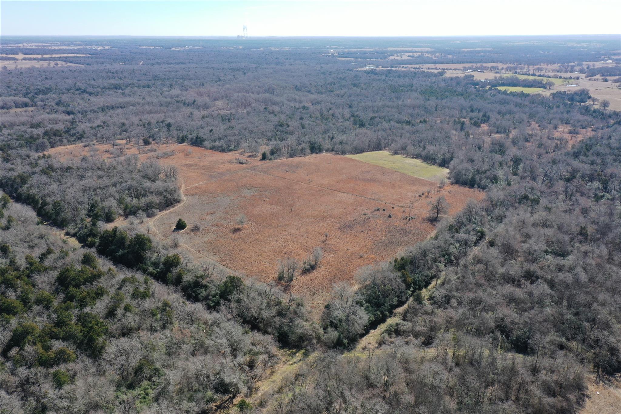 1151 Fowler Road, Bremond, Texas, 76629, United States, ,Land,For Sale,1151 Fowler Road,1621605