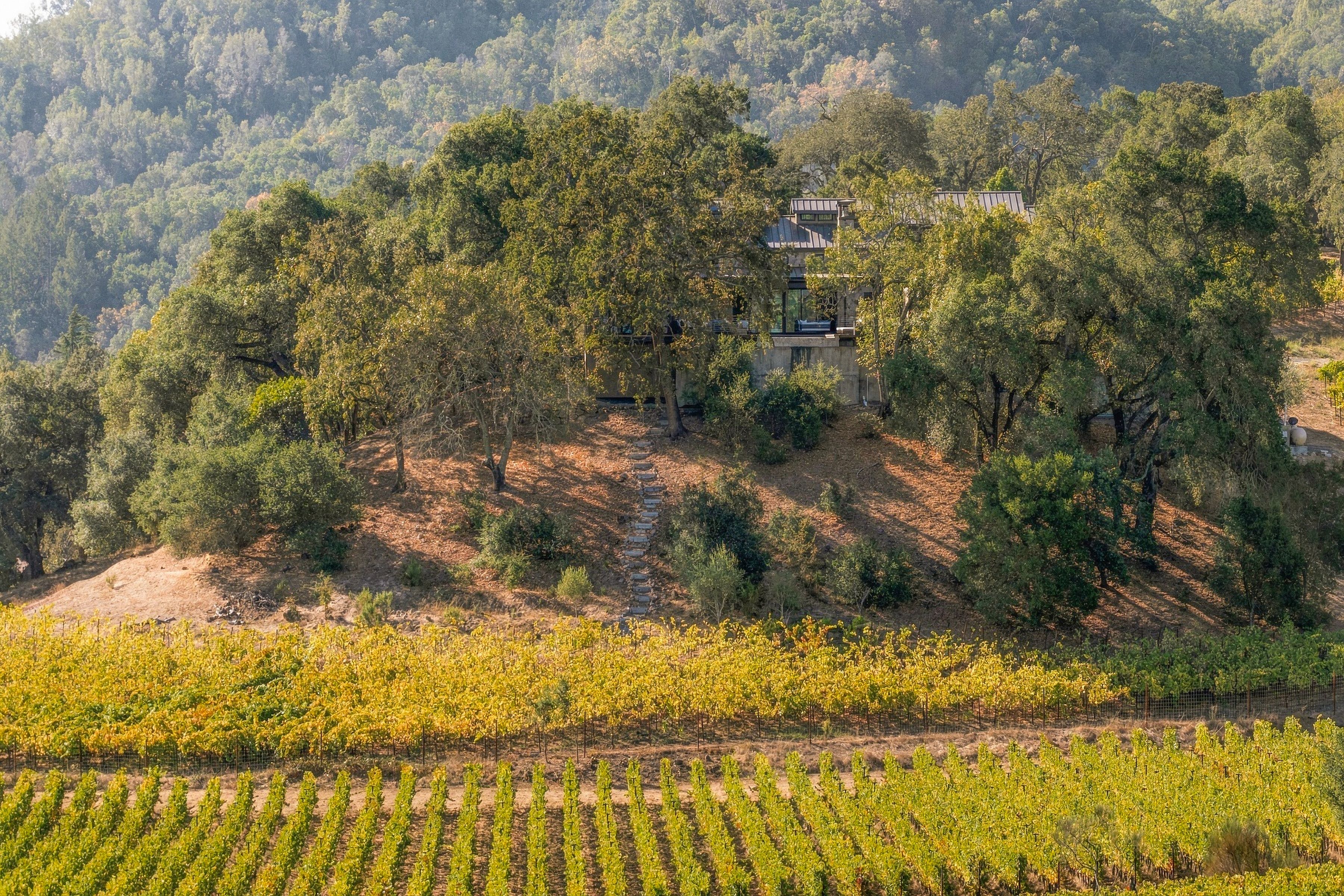  45 Vineyard View Drive - 物件實景