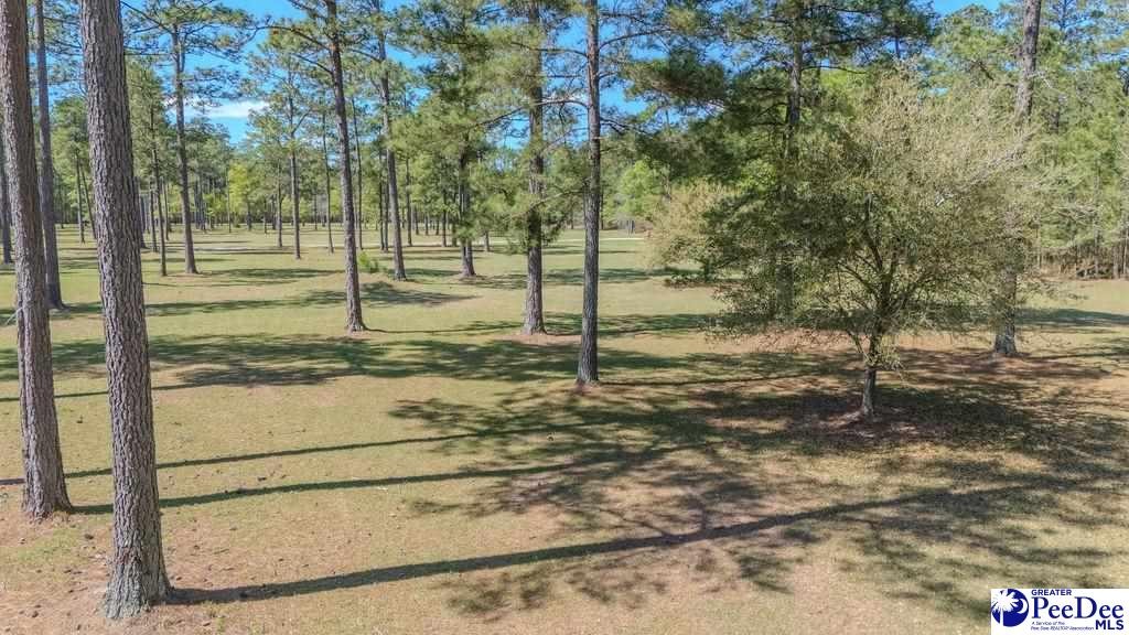 1315 Hill Harrell Road, Effingham, South Carolina, 29541-3179, United States, ,Land,For Sale,1315 Hill Harrell Road,1501598