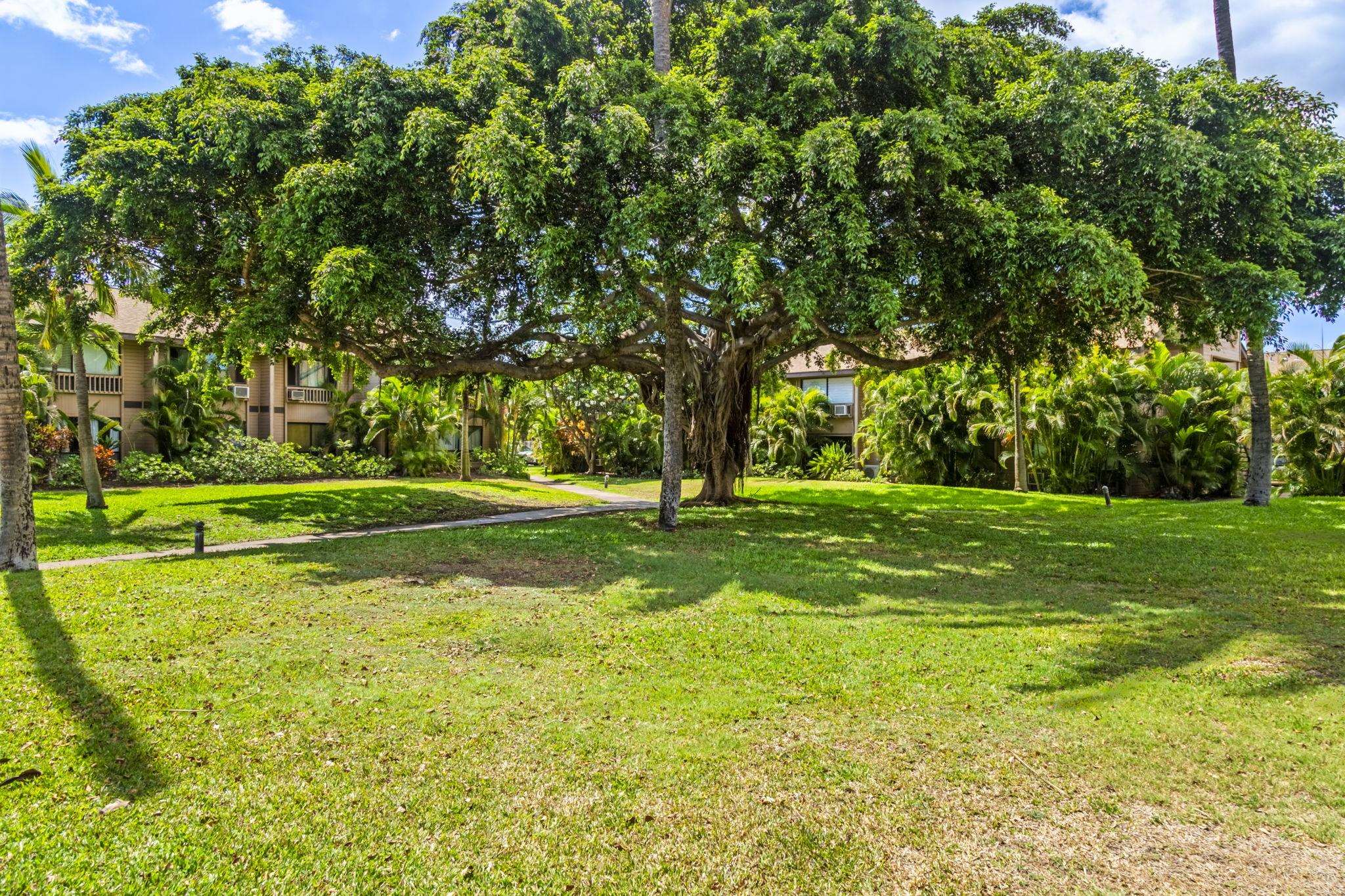 Kihei, Hawaii, 96753, United States, 3 Bedrooms Bedrooms, ,2 BathroomsBathrooms,Residential,For Sale,1901251