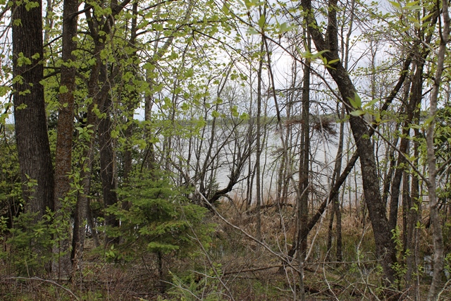 Deer River, Minnesota, 56636, United States, ,Land,For Sale,1974863