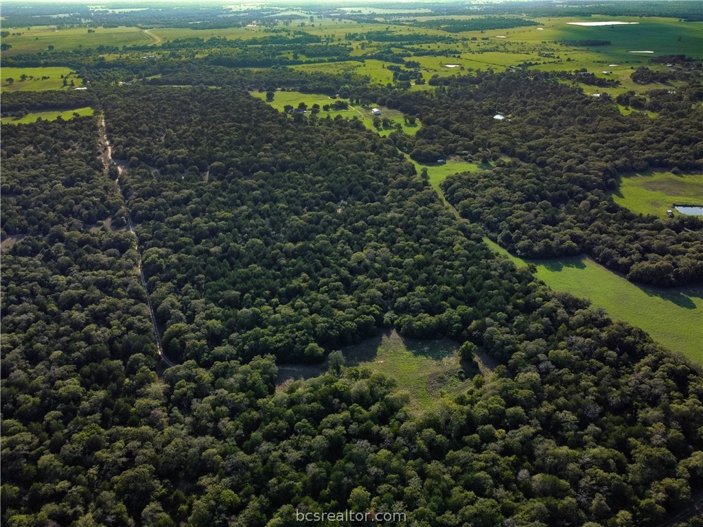 5632 County Road 317, Caldwell, Texas, 77836, United States, ,Land,For Sale,5632 County Road 317,1609859
