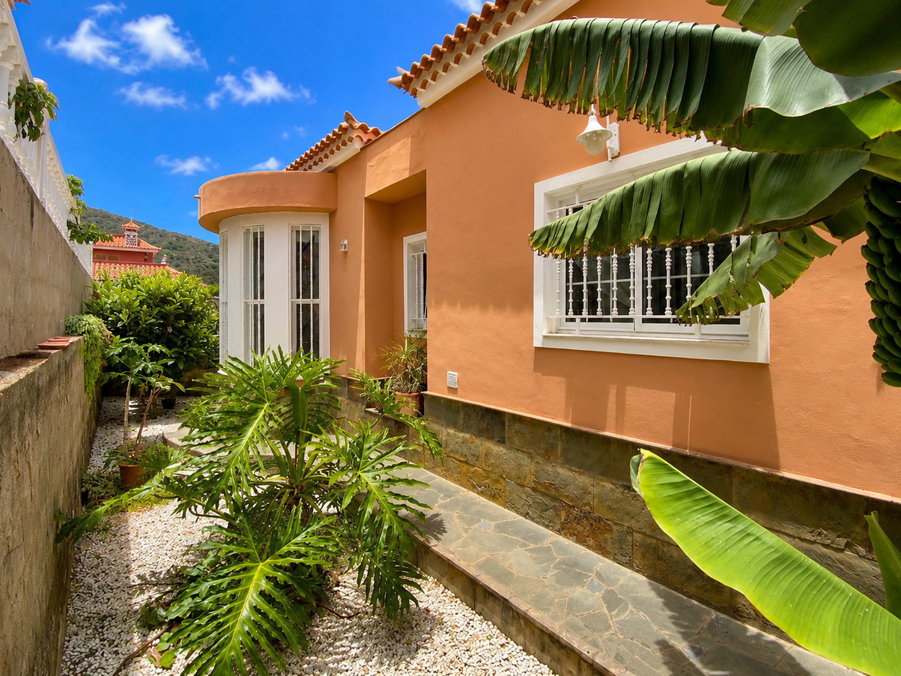 Classic Villa in Natural Setting, Icod de los Vinos - 物件實景