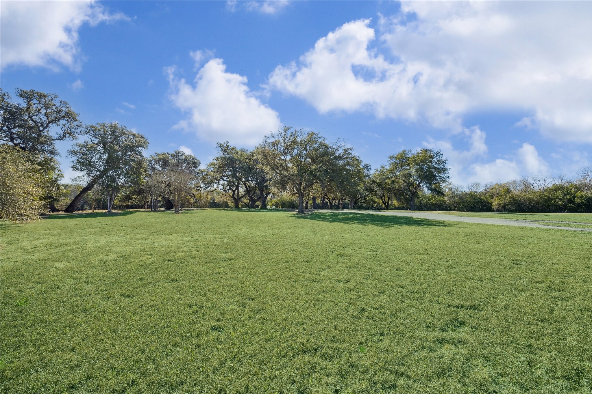  509 N Live Oak Street - 物件實景