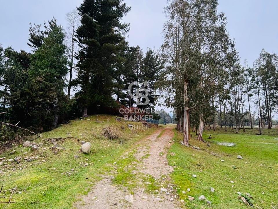 Futrono, Chile, ,Residential,For Sale,1934397