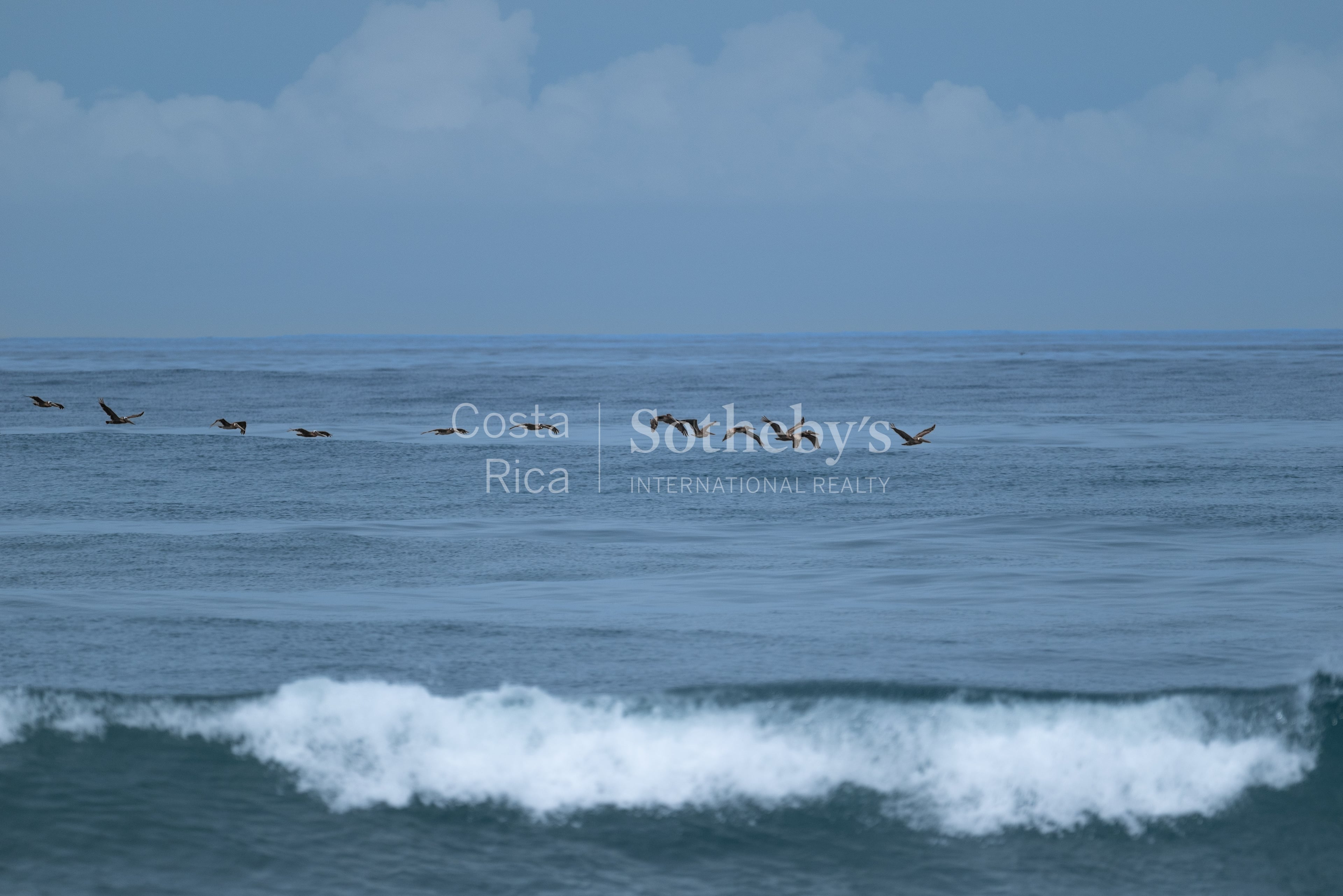  Playa Grande Oceanfront Reserve - 物件實景