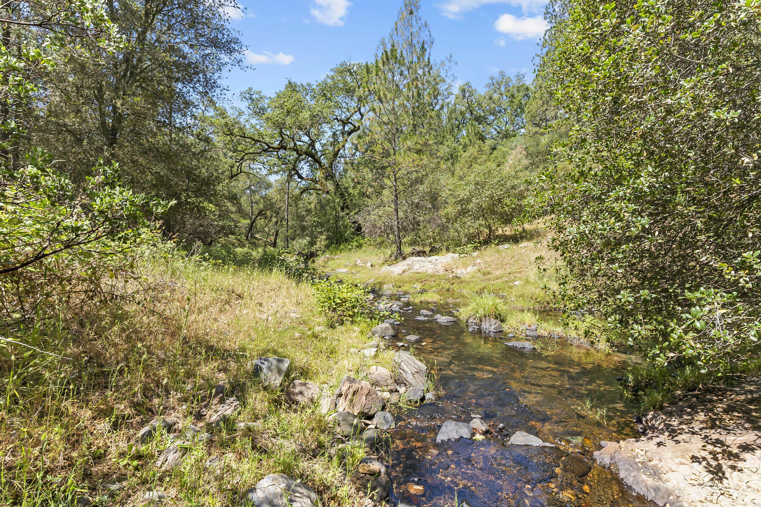  Amoruso Ranch 1000+ Acres Legacy - 物件實景
