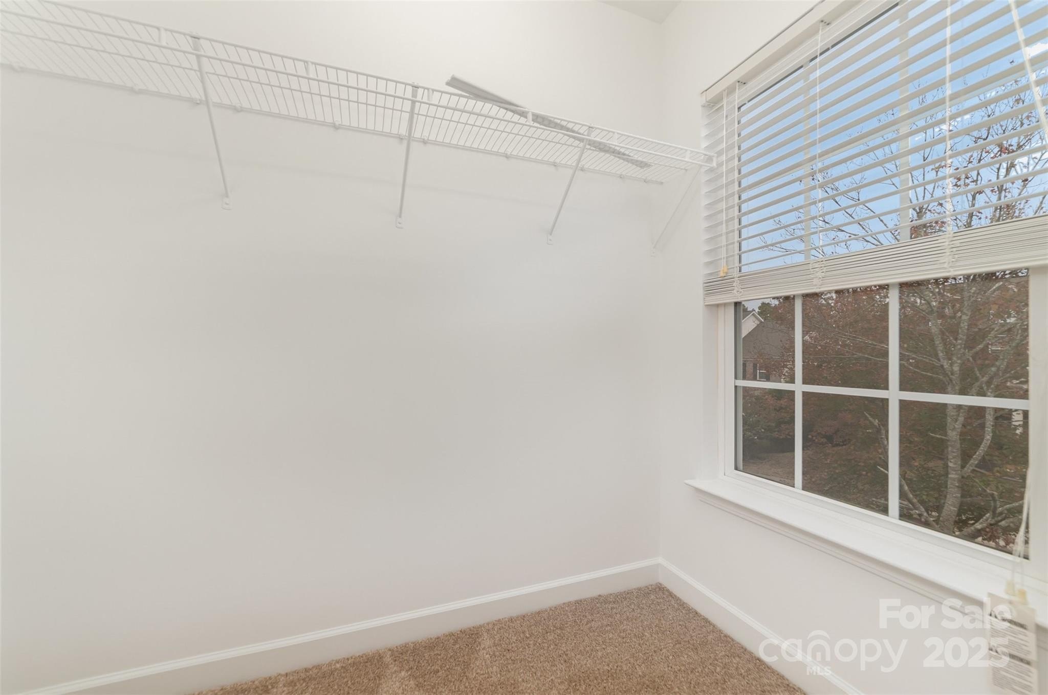 Charlotte, North Carolina, 28269, United States, 5 Bedrooms Bedrooms, ,3 BathroomsBathrooms,Residential,For Sale,1982139