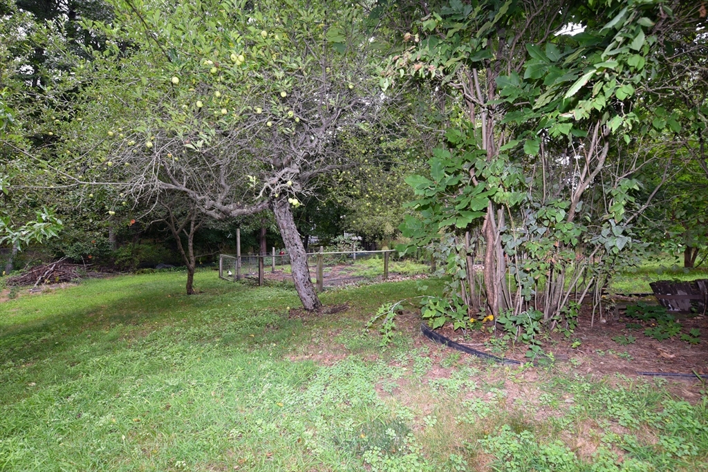 Rockland, Massachusetts, 02370, United States, 3 Bedrooms Bedrooms, ,2 BathroomsBathrooms,Residential,For Sale,1903507