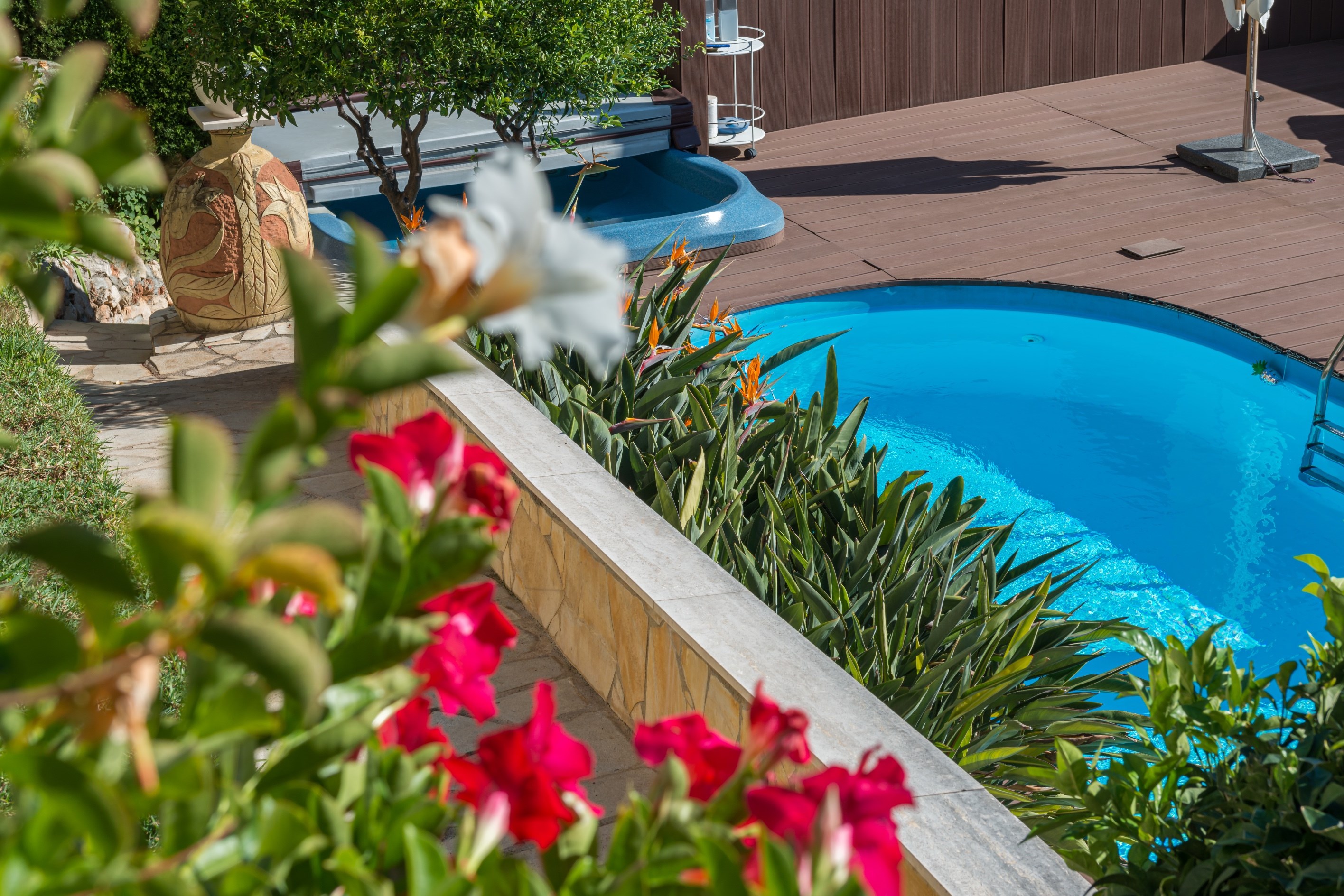 Cap d’Ail Roccamare villa with panoramic sea views pool near Monaco - 物件實景