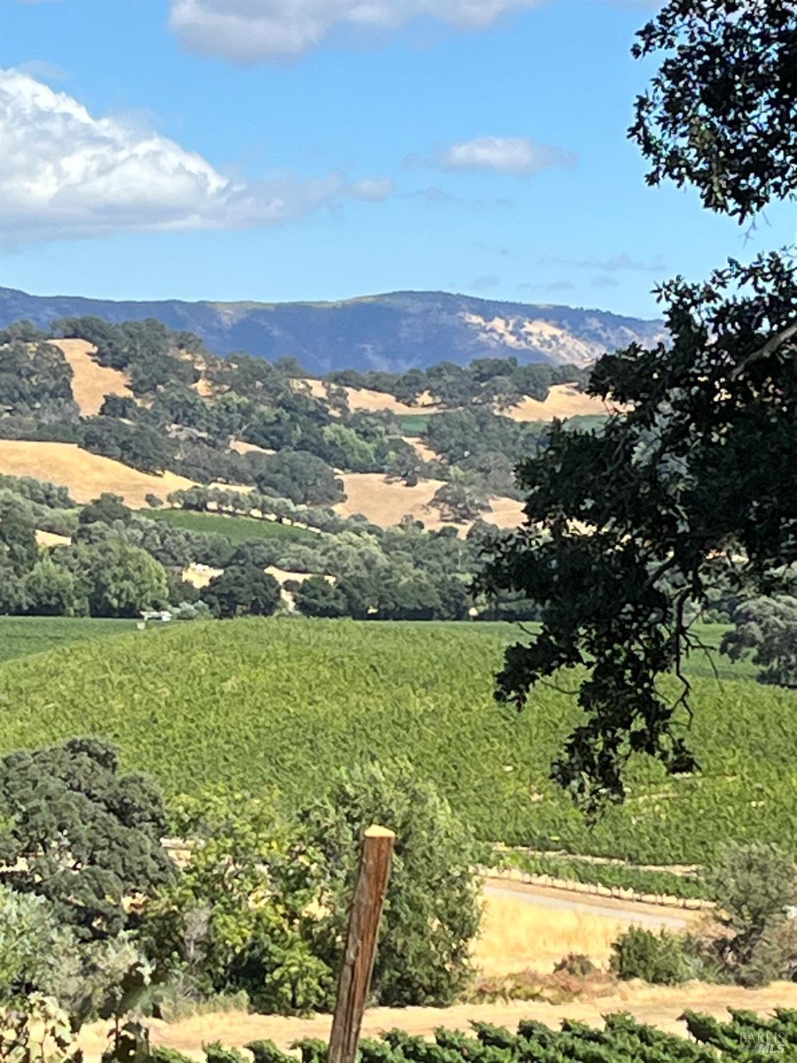 Napa, California, 94558, United States, 3 Bedrooms Bedrooms, ,3 BathroomsBathrooms,Residential,For Sale,1991897