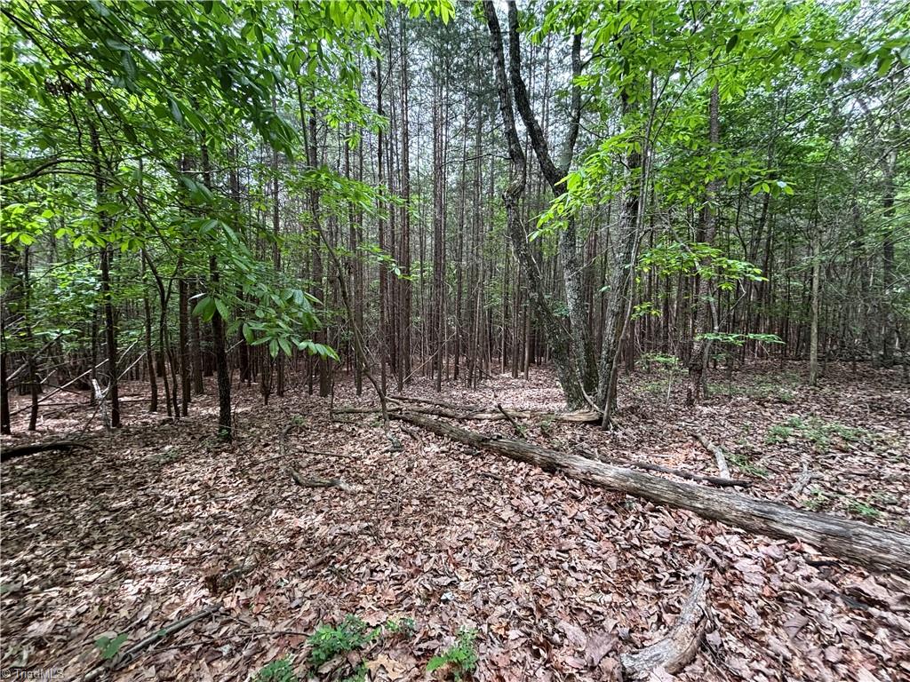Pinnacle, North Carolina, 27043, United States, ,Land,For Sale,1829534