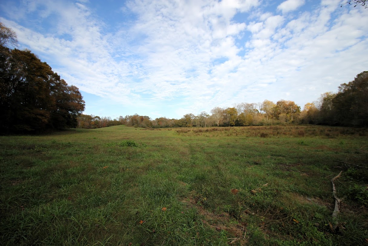 Bowdon, Georgia, 30108, United States, ,Land,For Sale,1989904