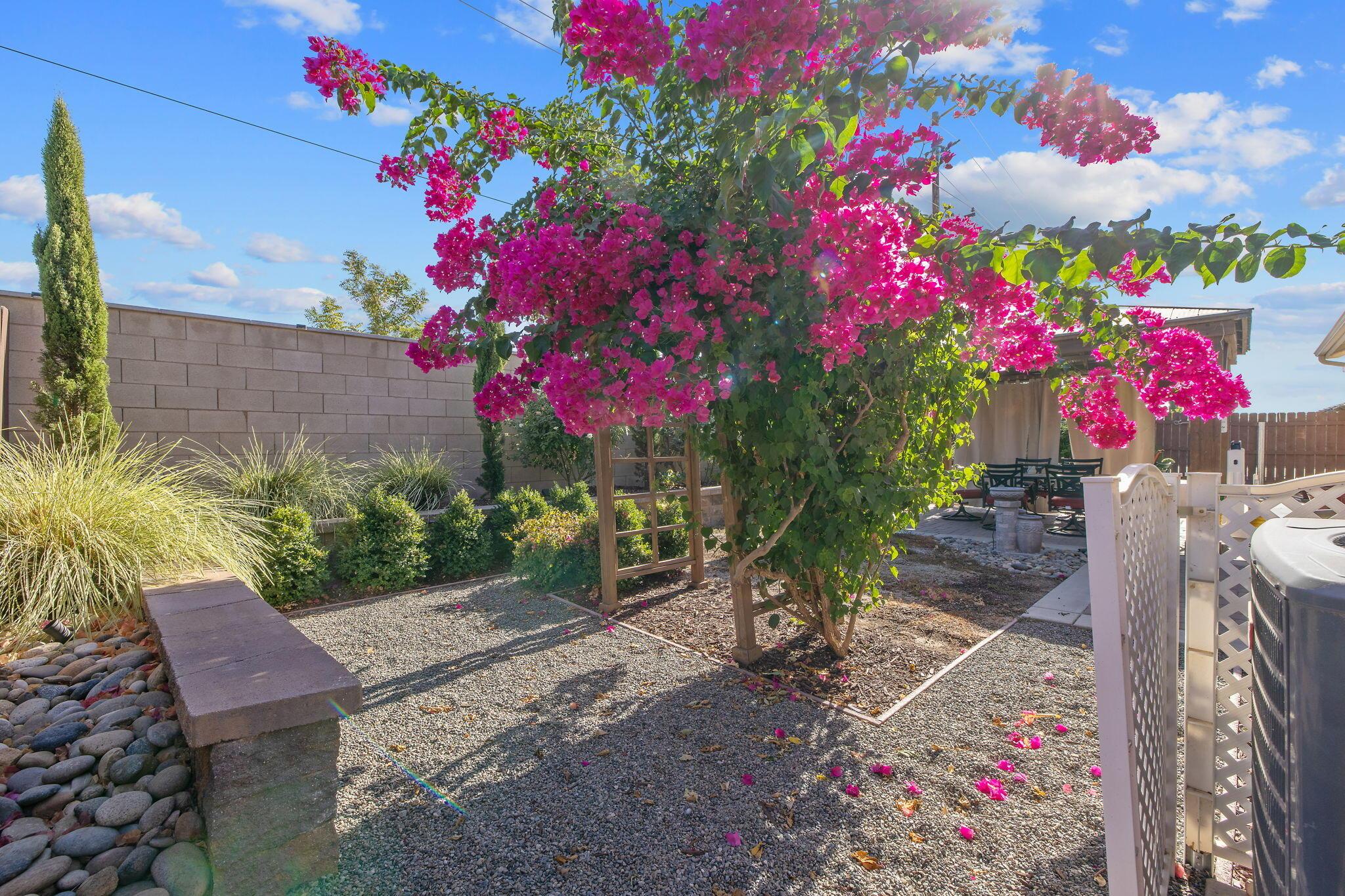Visalia, California, 93291, United States, 4 Bedrooms Bedrooms, ,2 BathroomsBathrooms,Residential,For Sale,1927793