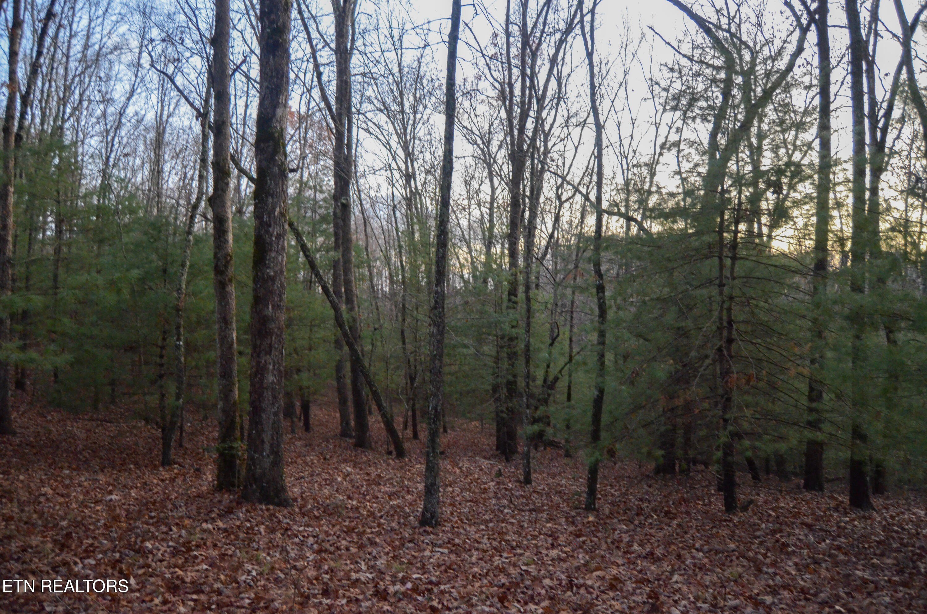 Crossville, Tennessee, 38555, United States, ,Land,For Sale,1978266