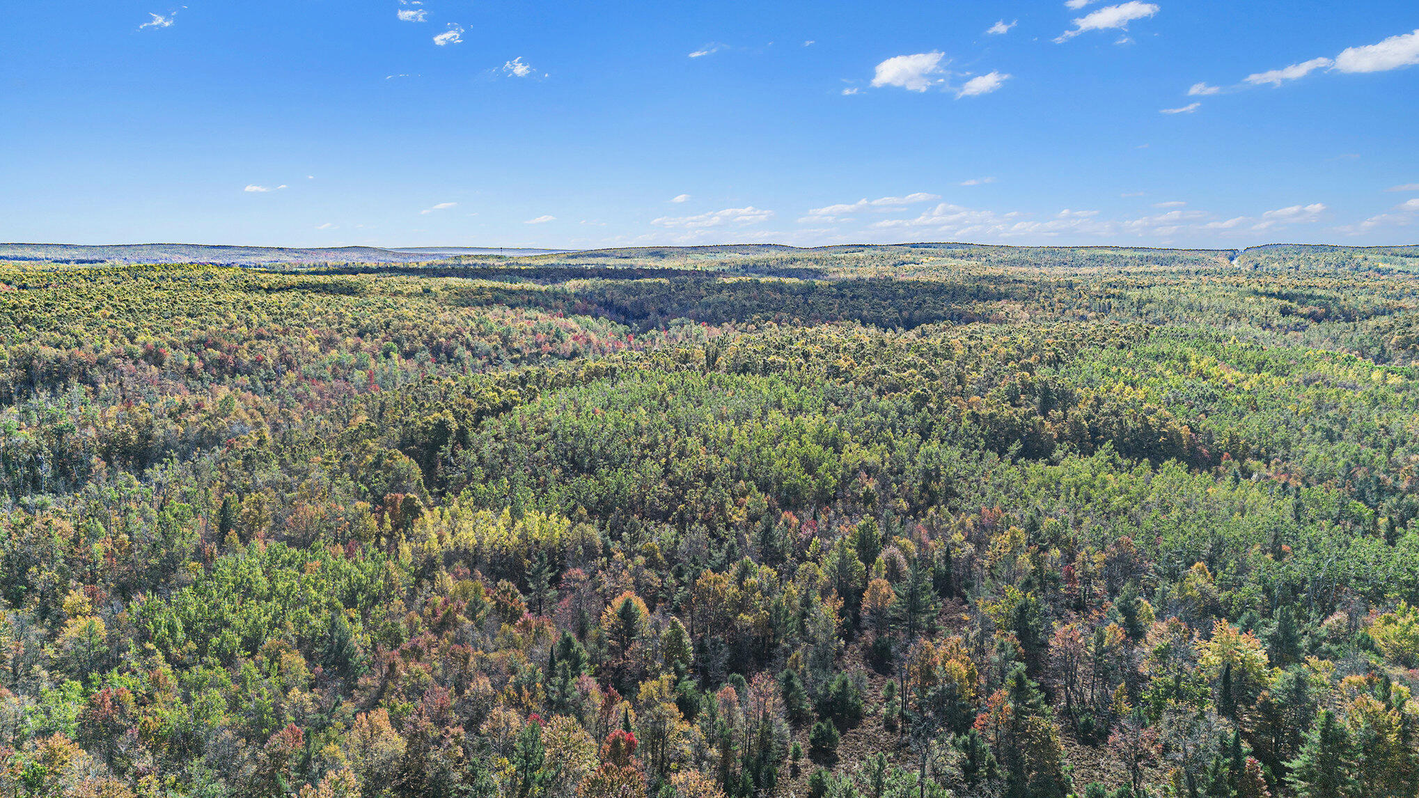 Wolverine, Michigan, 49799, United States, 2 Bedrooms Bedrooms, ,2 BathroomsBathrooms,Residential,For Sale,1885505