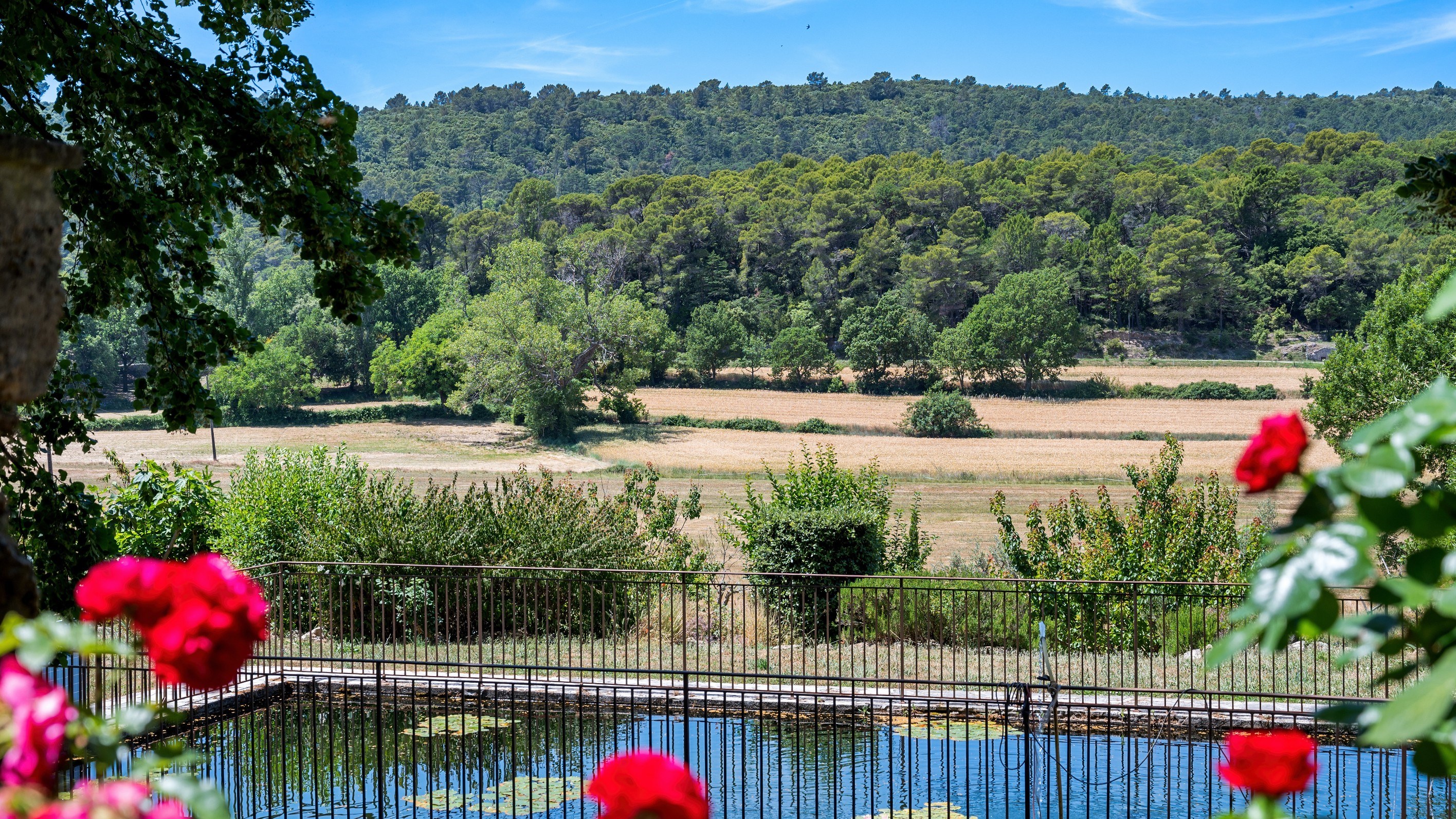  Ampus – A Remarkable 160-Hectare Estate in the Heart of Provence - 物件實景
