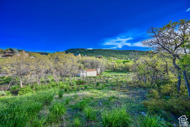 Heber City, Utah, 84032, United States, 3 Bedrooms Bedrooms, ,2 BathroomsBathrooms,Residential,For Sale,1923667