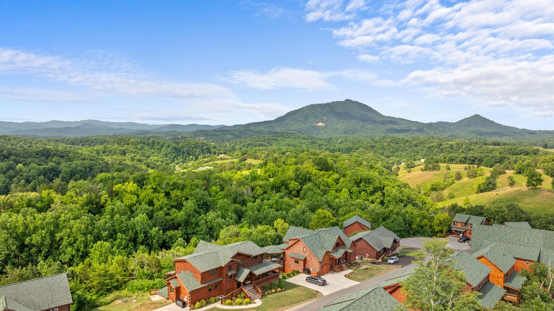 Sevierville, Tennessee, 37876, United States, 4 Bedrooms Bedrooms, ,6 BathroomsBathrooms,Residential,For Sale,1976346