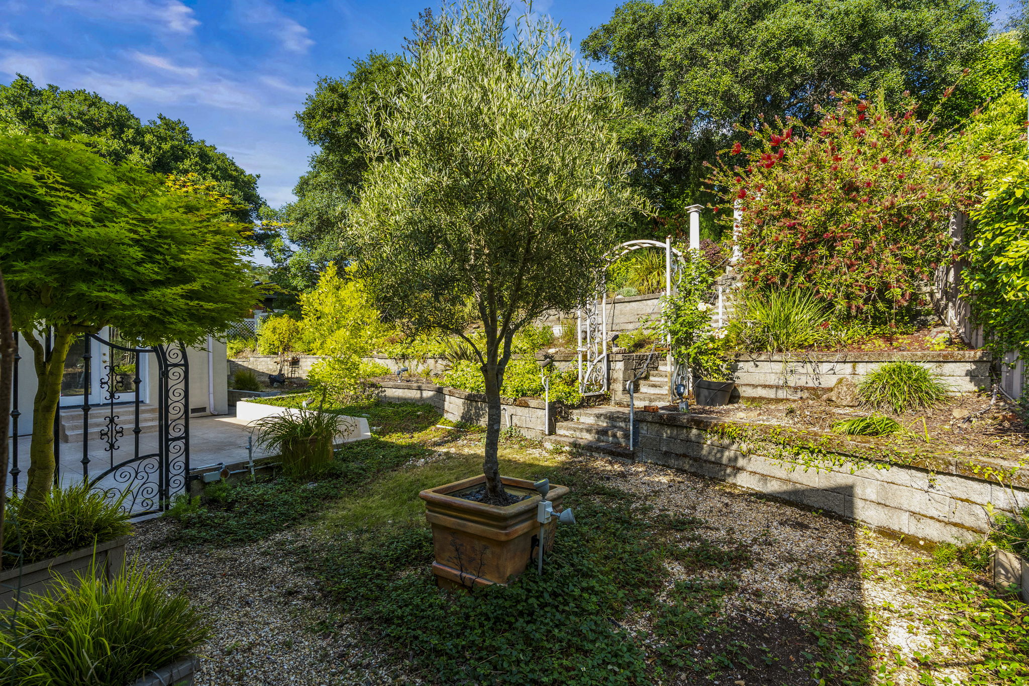  382 Lakeview Avenue Napa CA 94559 - 物件實景