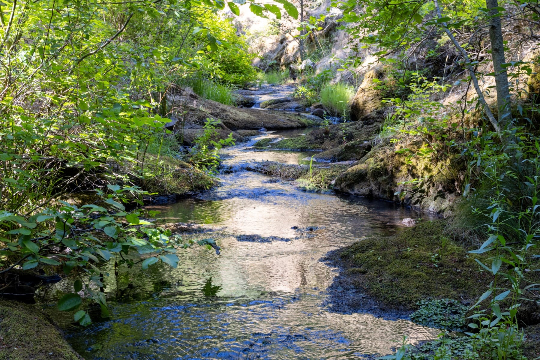  82 MEADOWS LOOP Lyle, WA 98635 - 物件實景