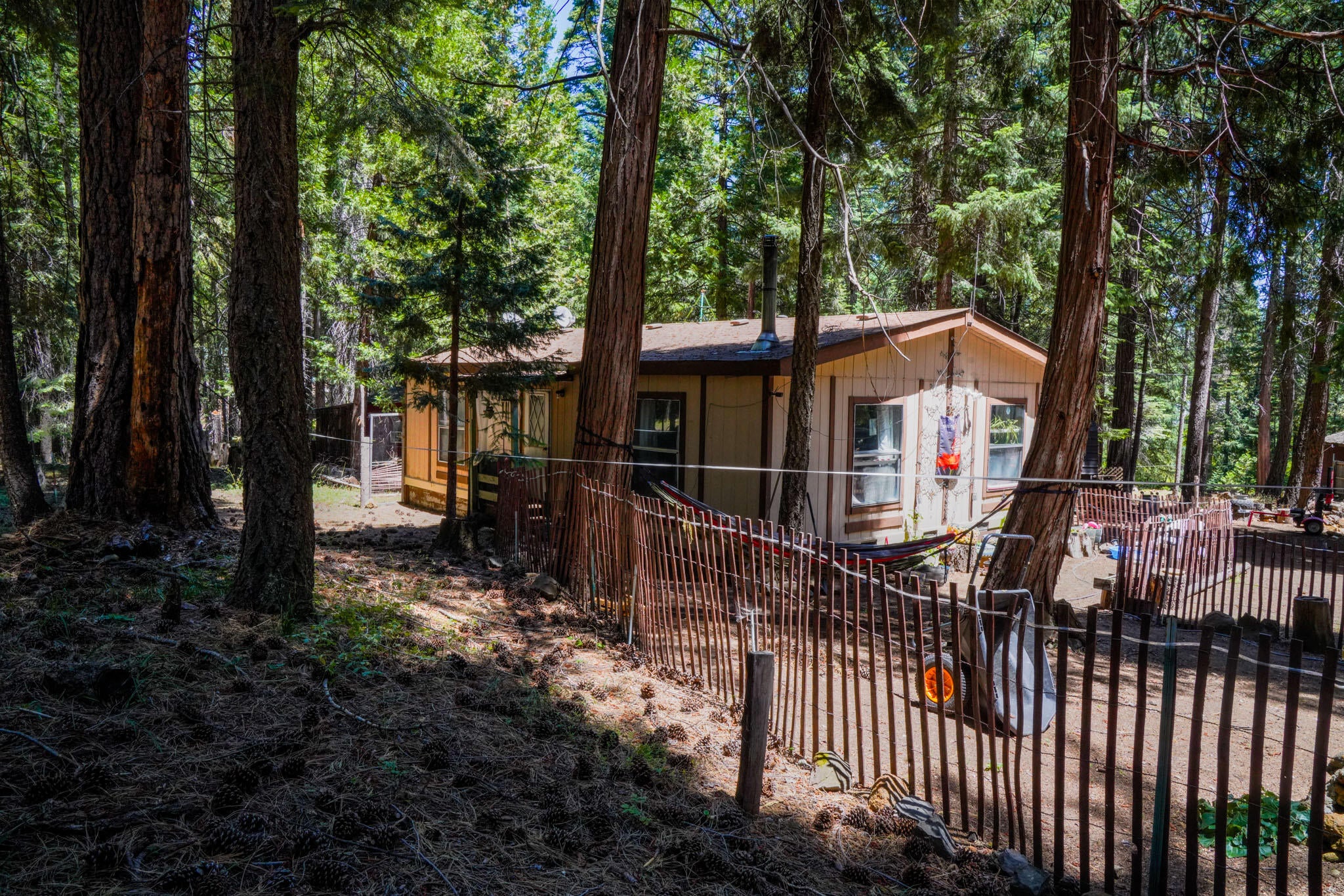 Shenandoah Dr, Shingletown, CA 96088 #1