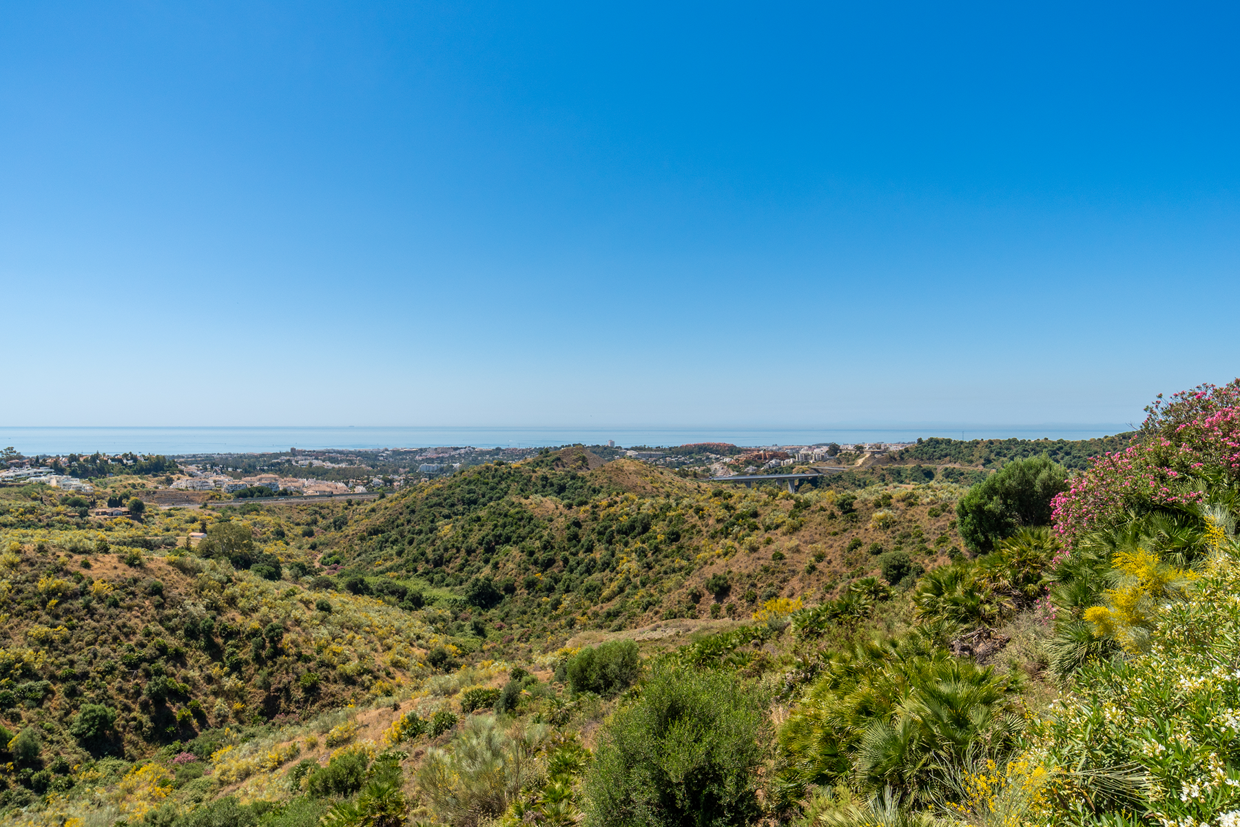  Exceptional development opportunity in El Real de La Quinta - 物件實景