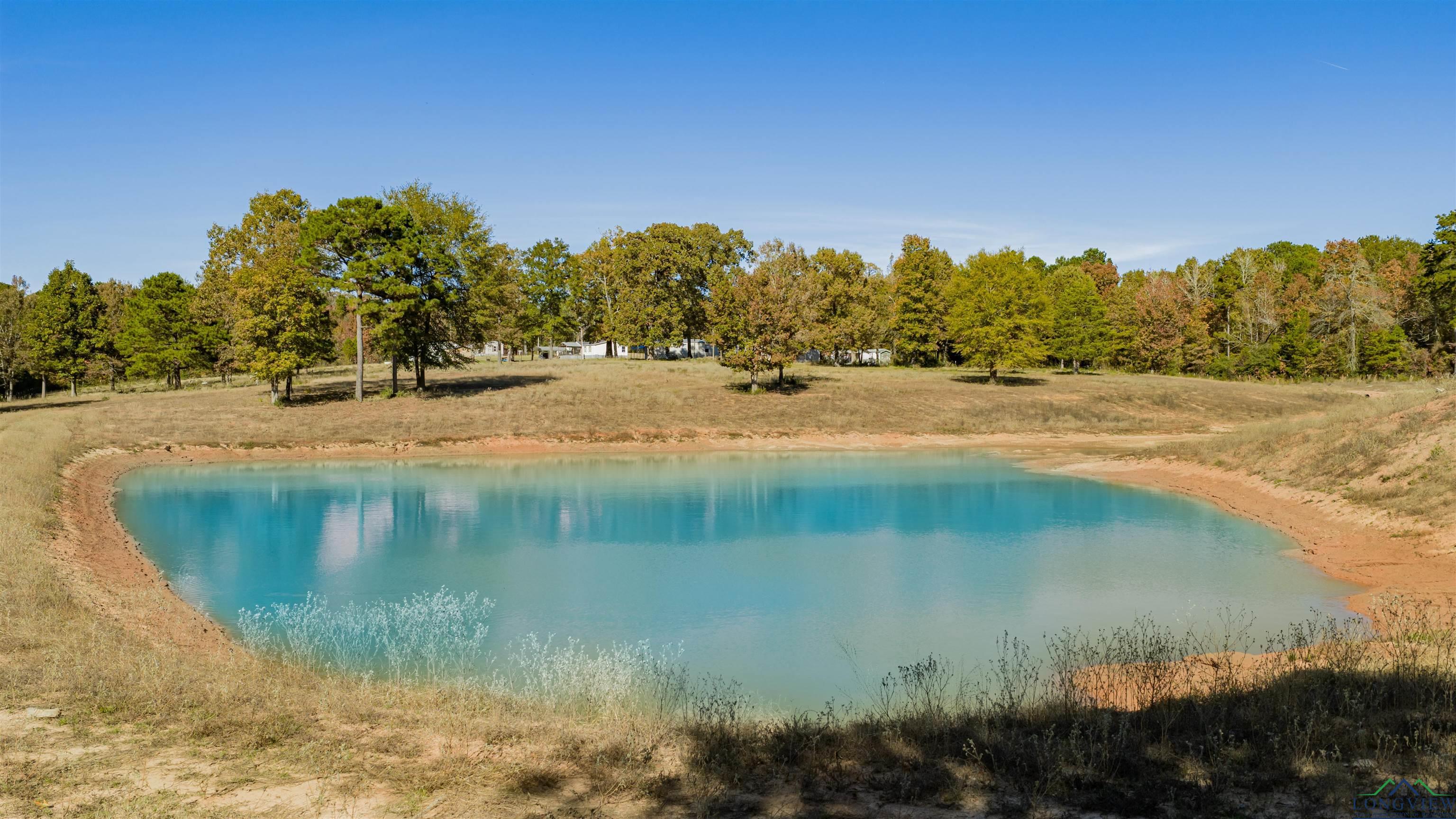 Diana, Texas, 75640, United States, ,Residential,For Sale,1993396