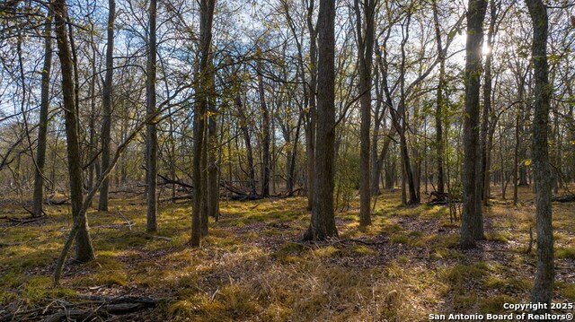 Other, 11111, United States, ,Land,For Sale,1951420