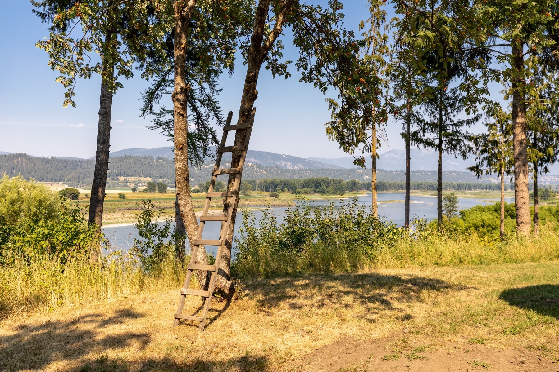  Historic Home with Stunning Views - 物件實景