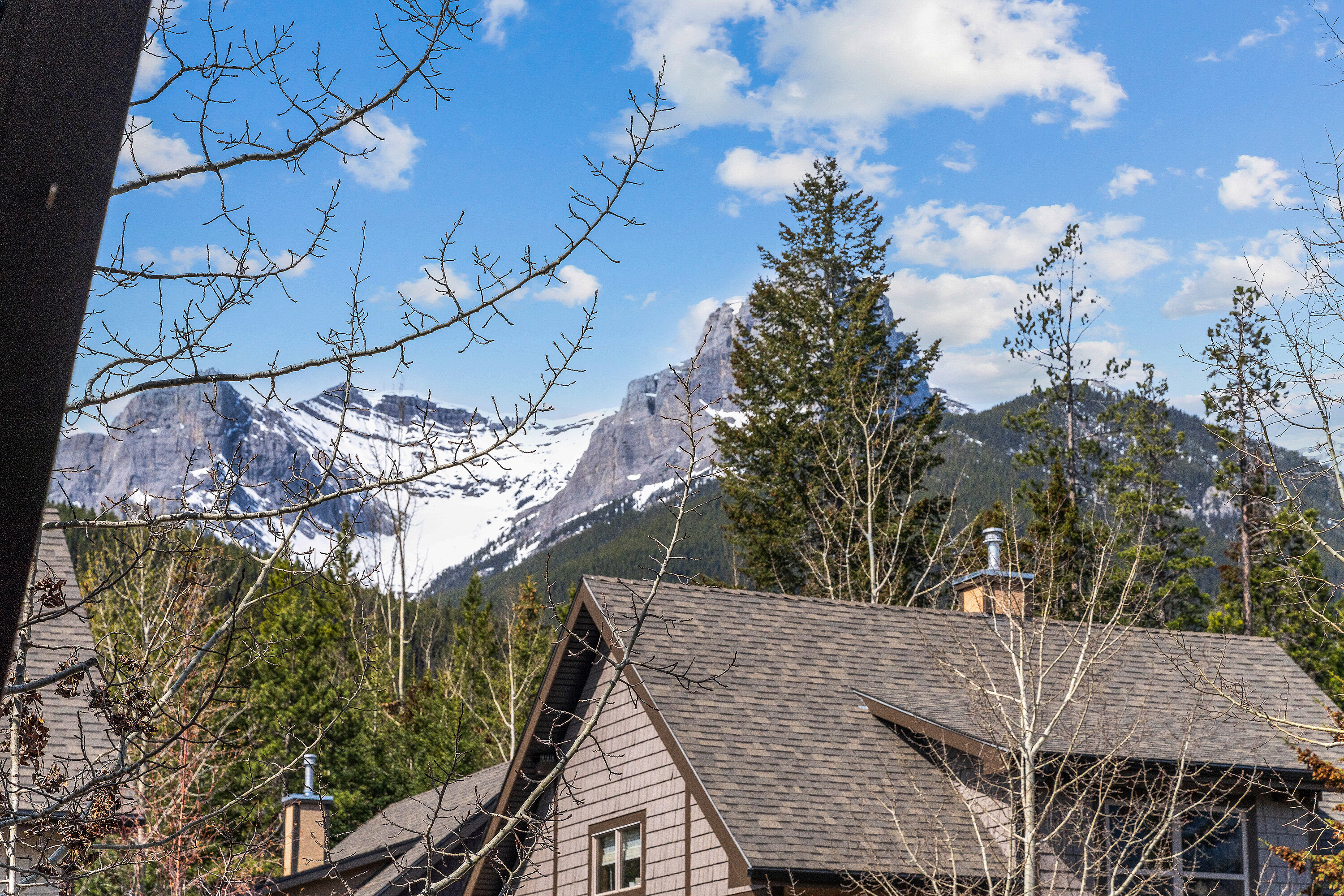  Mountain Living Single Family - 物件實景