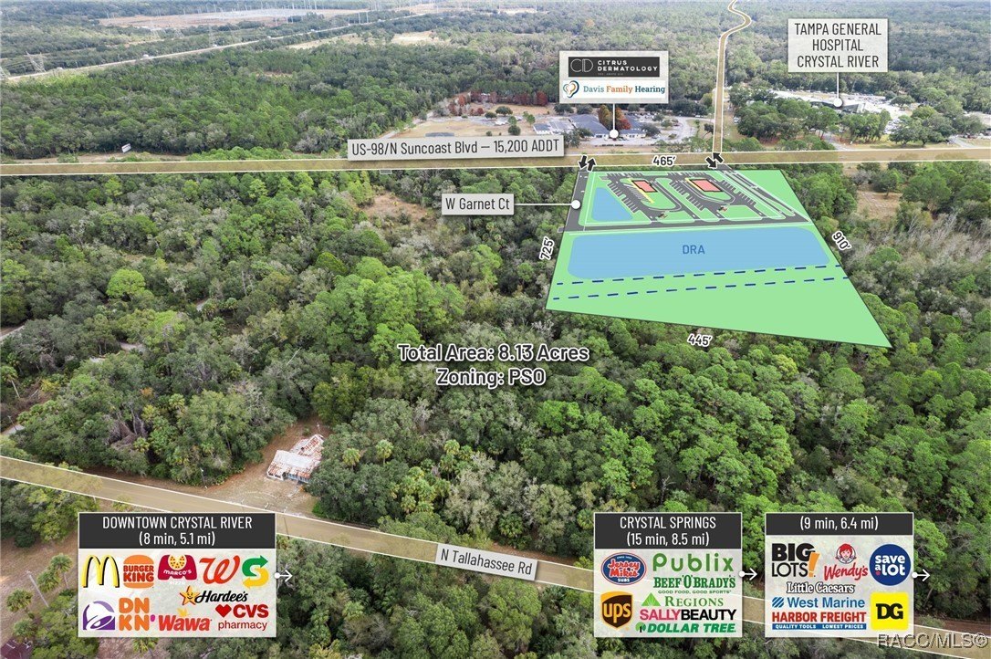 Crystal River, Florida, 34428, United States, ,Land,For Sale,2006050