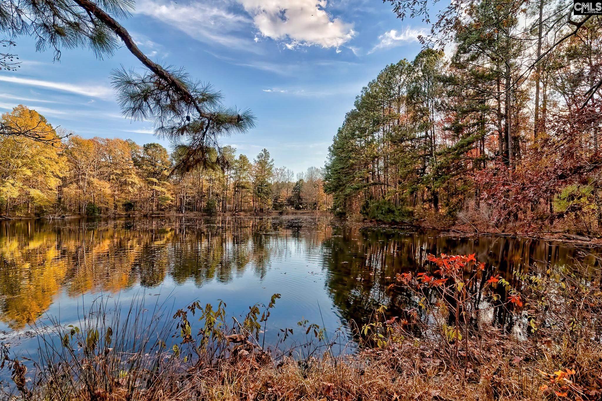 Chapin, South Carolina, 29036, United States, 4 Bedrooms Bedrooms, ,3 BathroomsBathrooms,Residential,For Sale,1999550