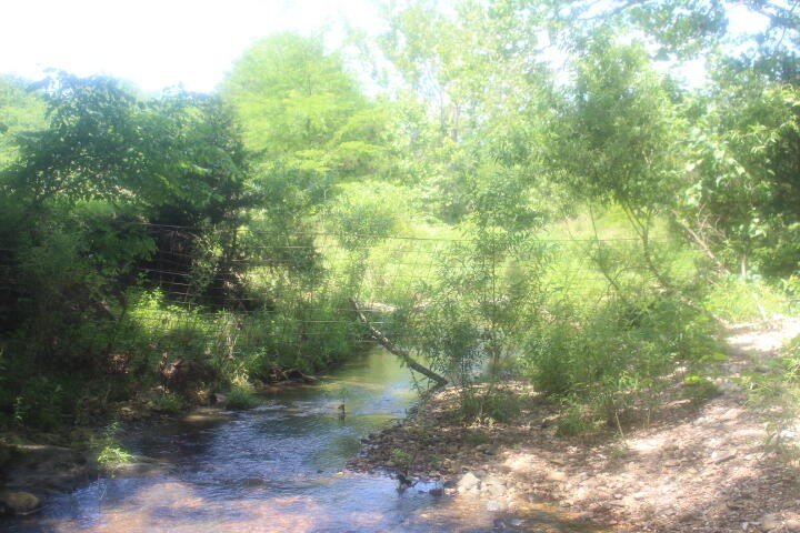 Polk, Missouri, 65727, United States, ,Land,For Sale,1980569