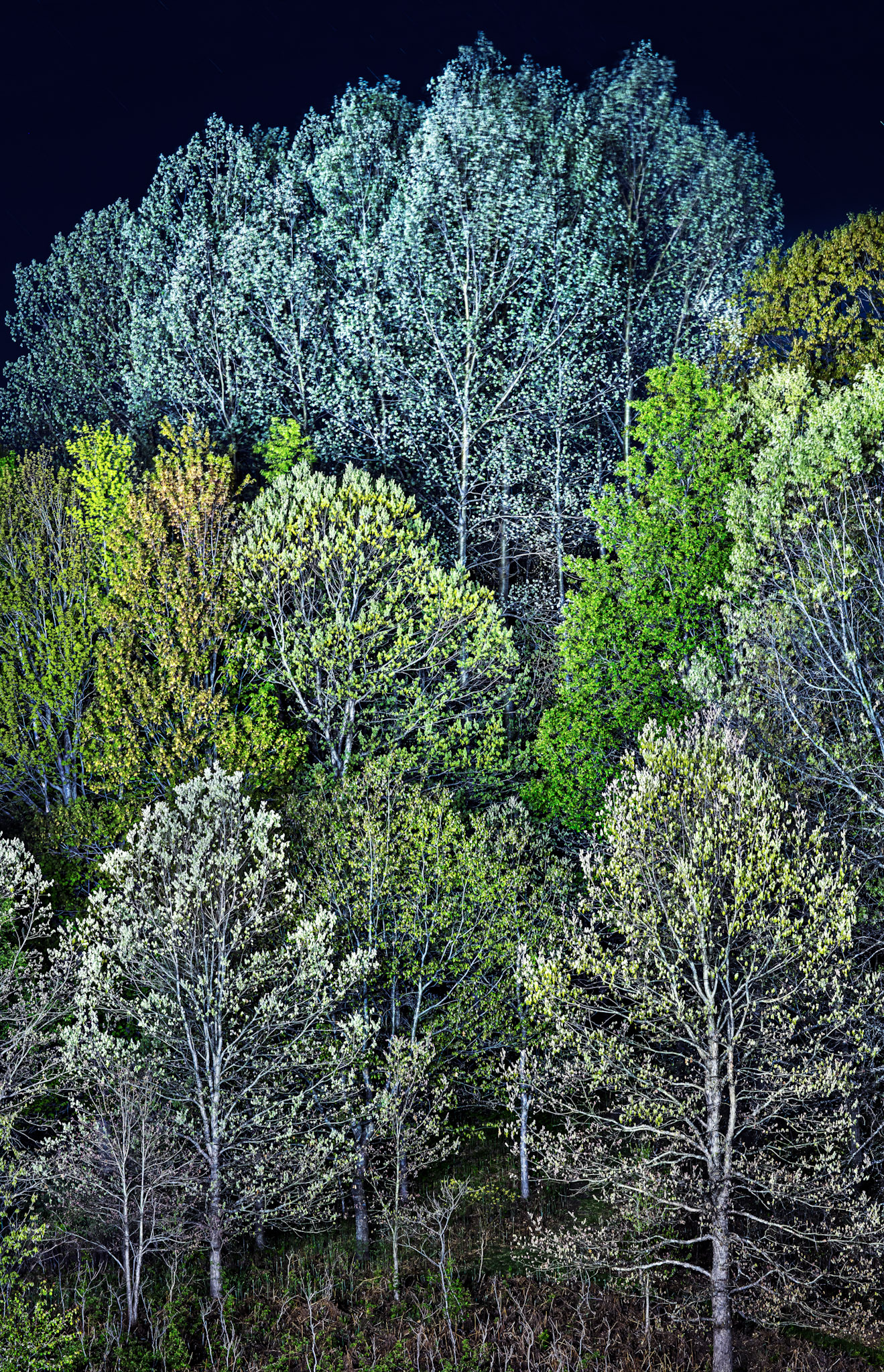 Branch, Michigan, 49402, United States, 1 Bedroom Bedrooms, ,1 BathroomBathrooms,Residential,For Sale,2001233