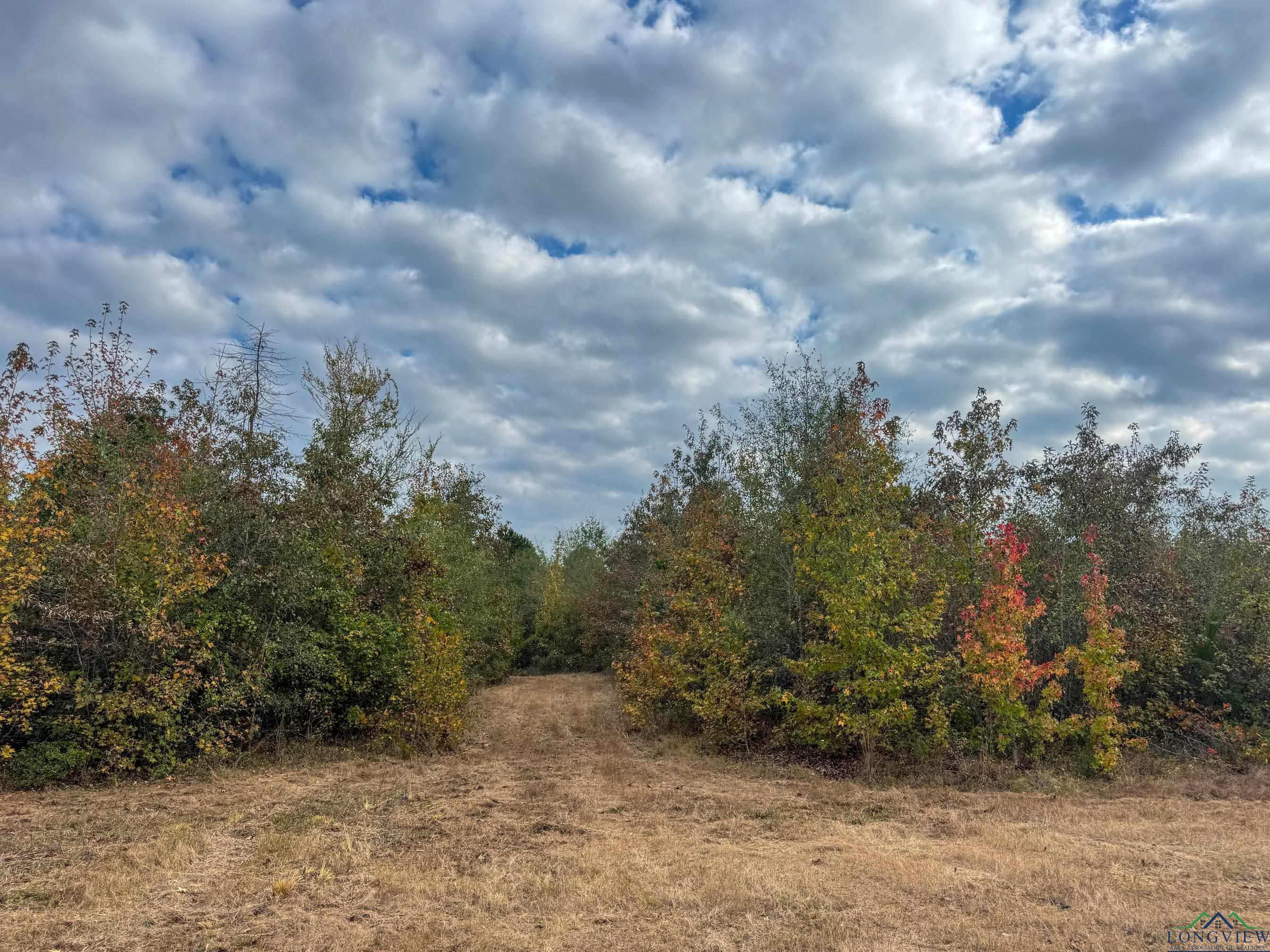 Marietta, Texas, 75566, United States, ,Land,For Sale,1977958
