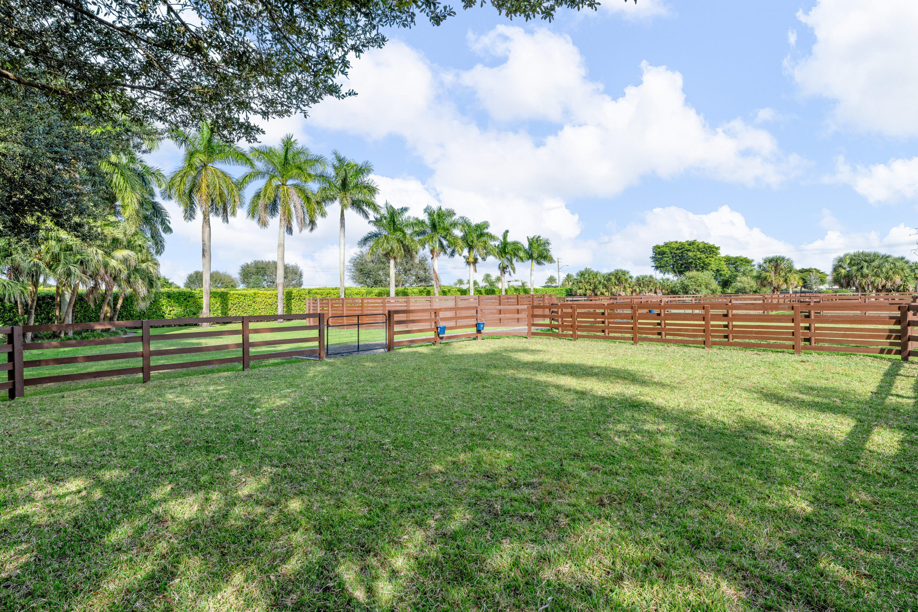  14750 Palm Beach Point Boulevard - 物件實景