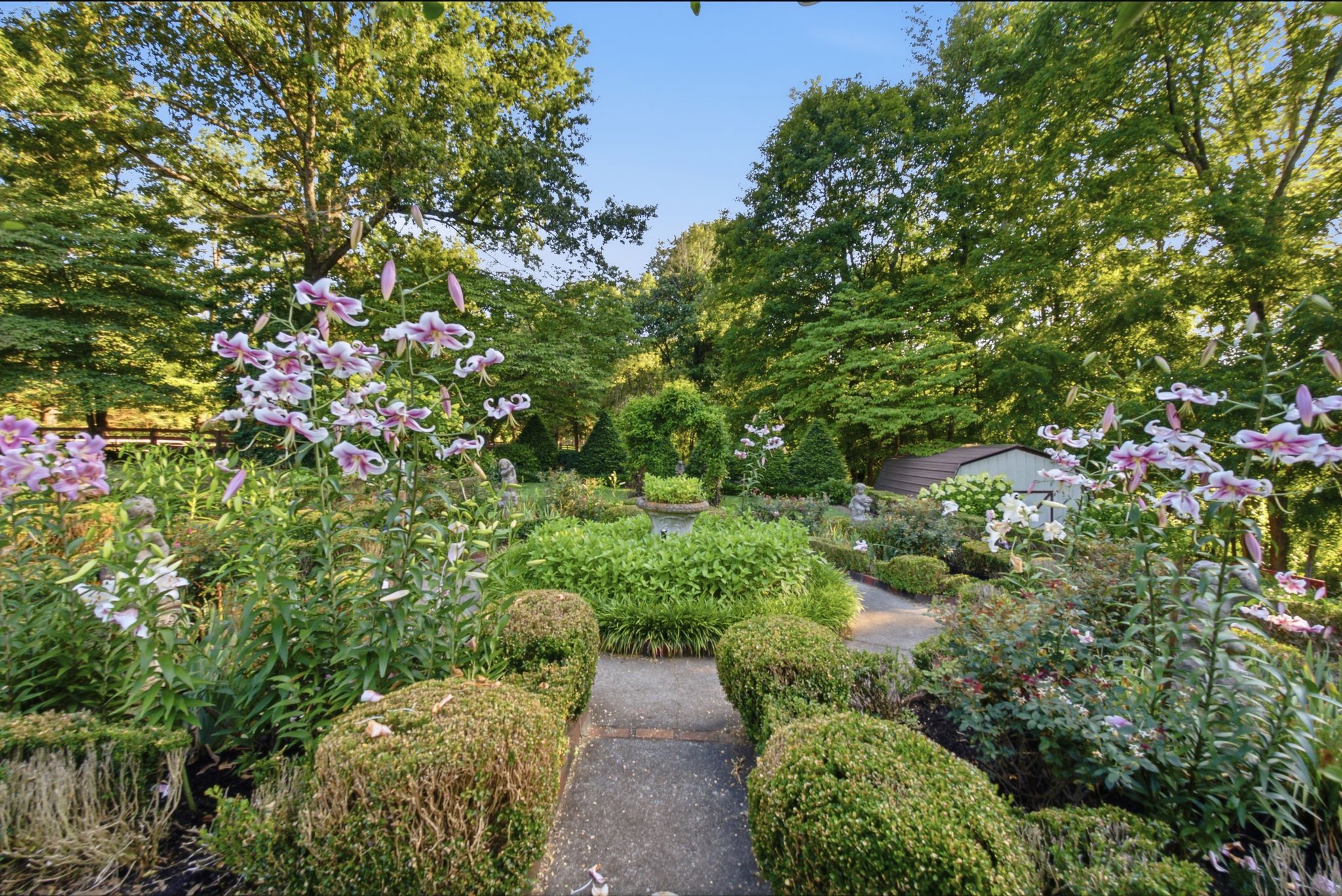 305 Beech Street - 物件實景