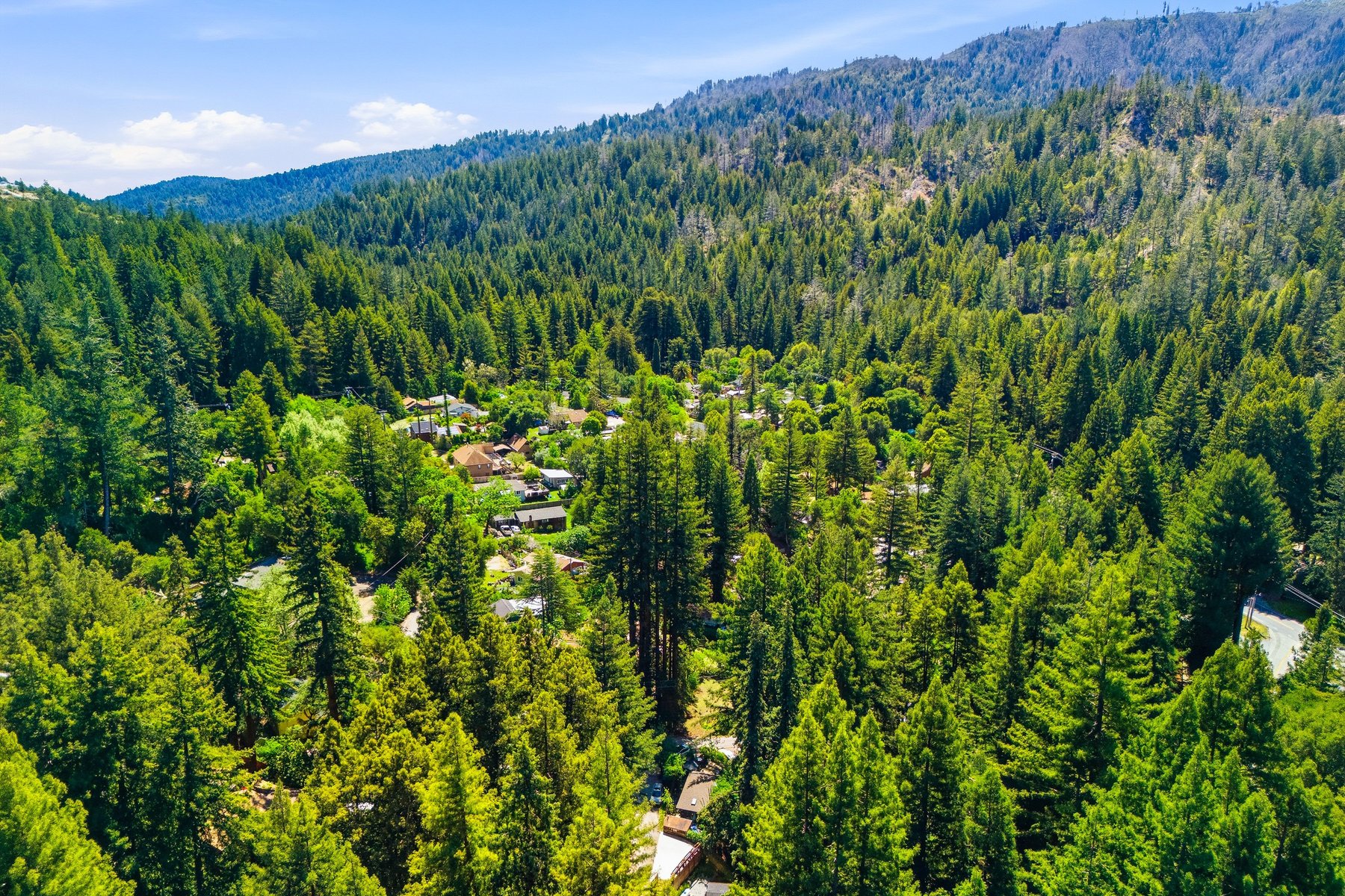  255 Brookside Drive - 物件實景