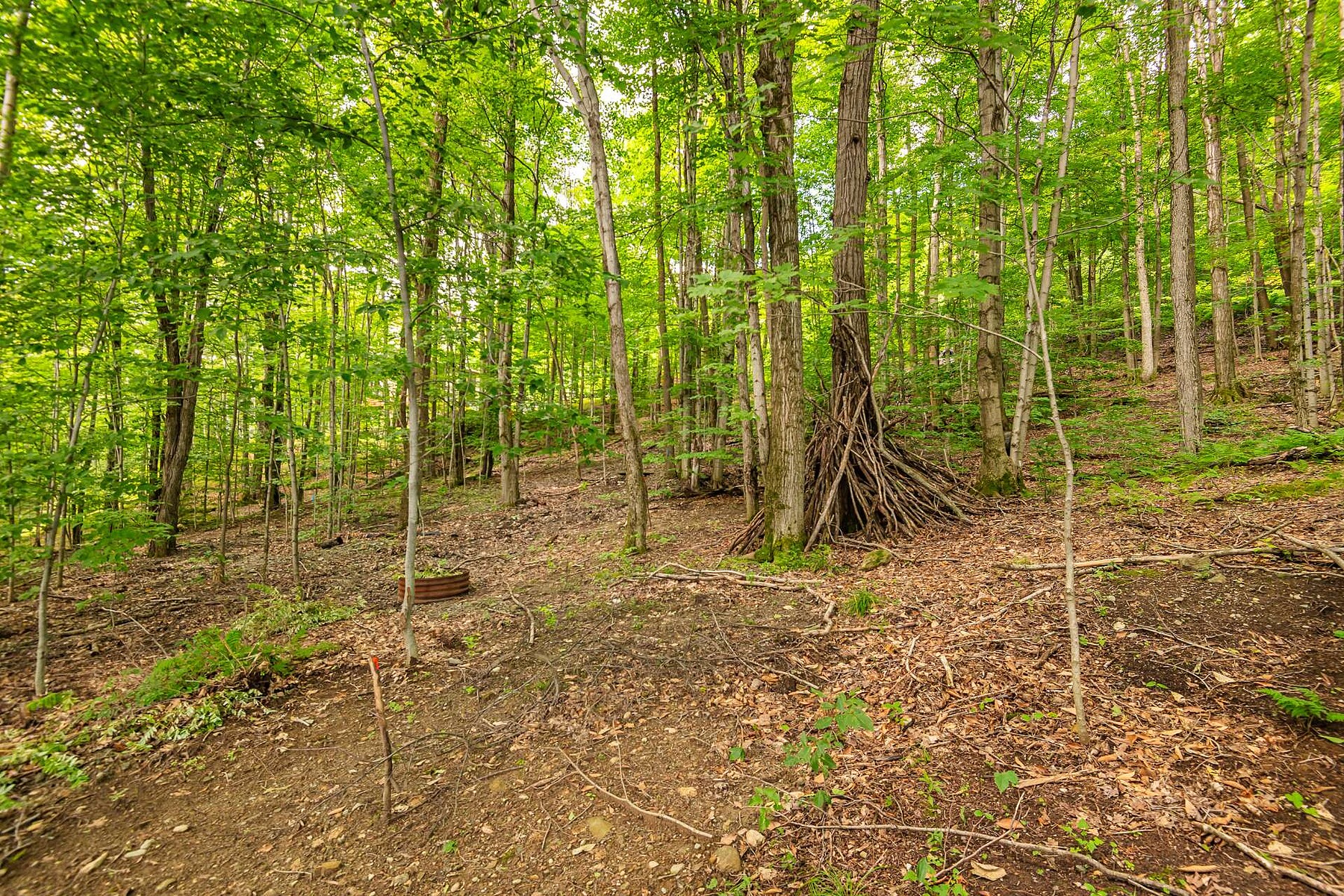  Sutton, Eastern Townships - 物件實景